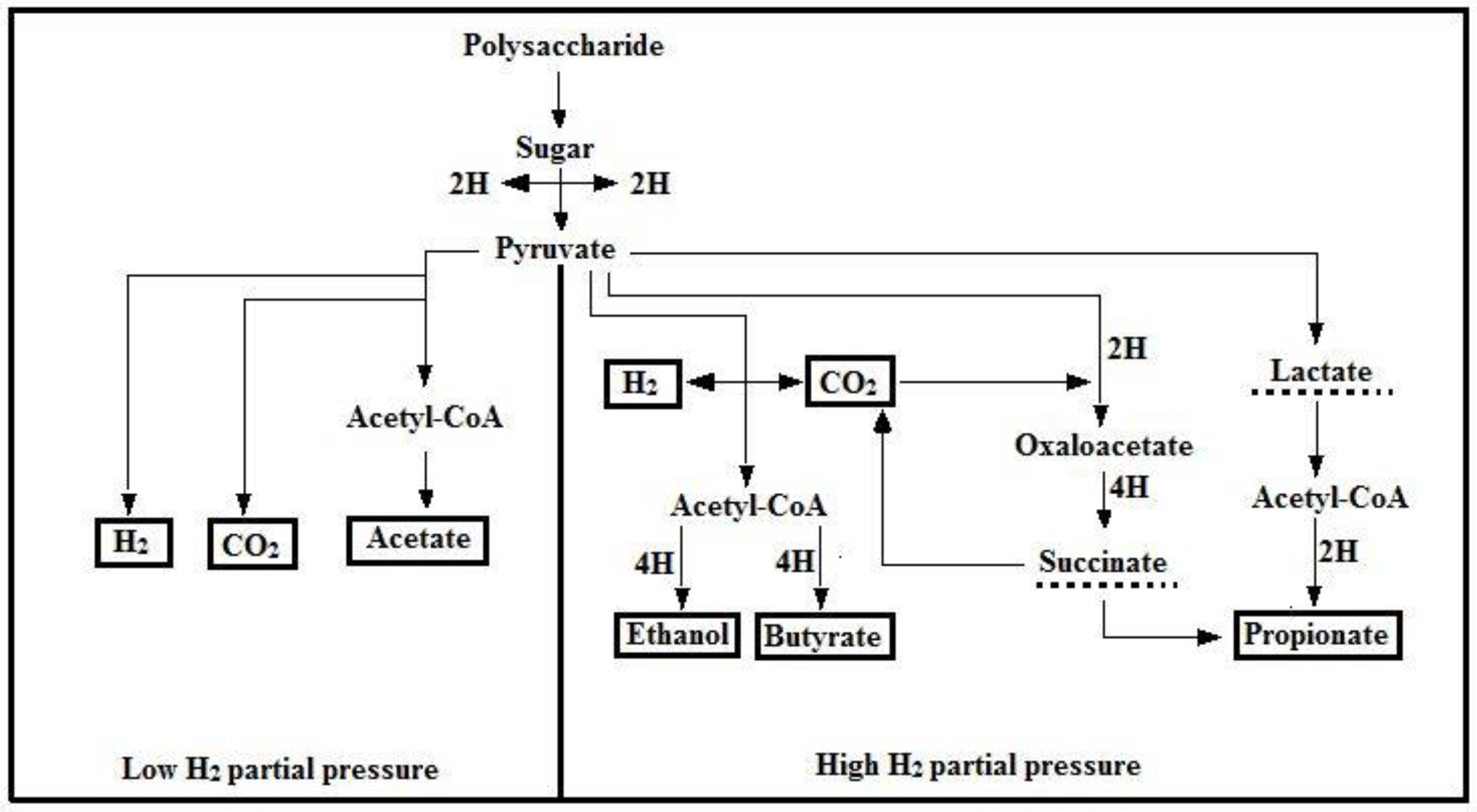 Energies 13 01318 g001