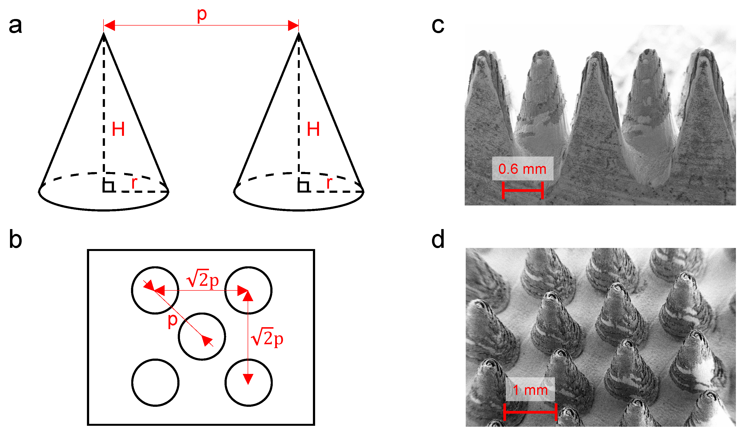 Energies 13 01360 g003 Energies 13 01360 g003