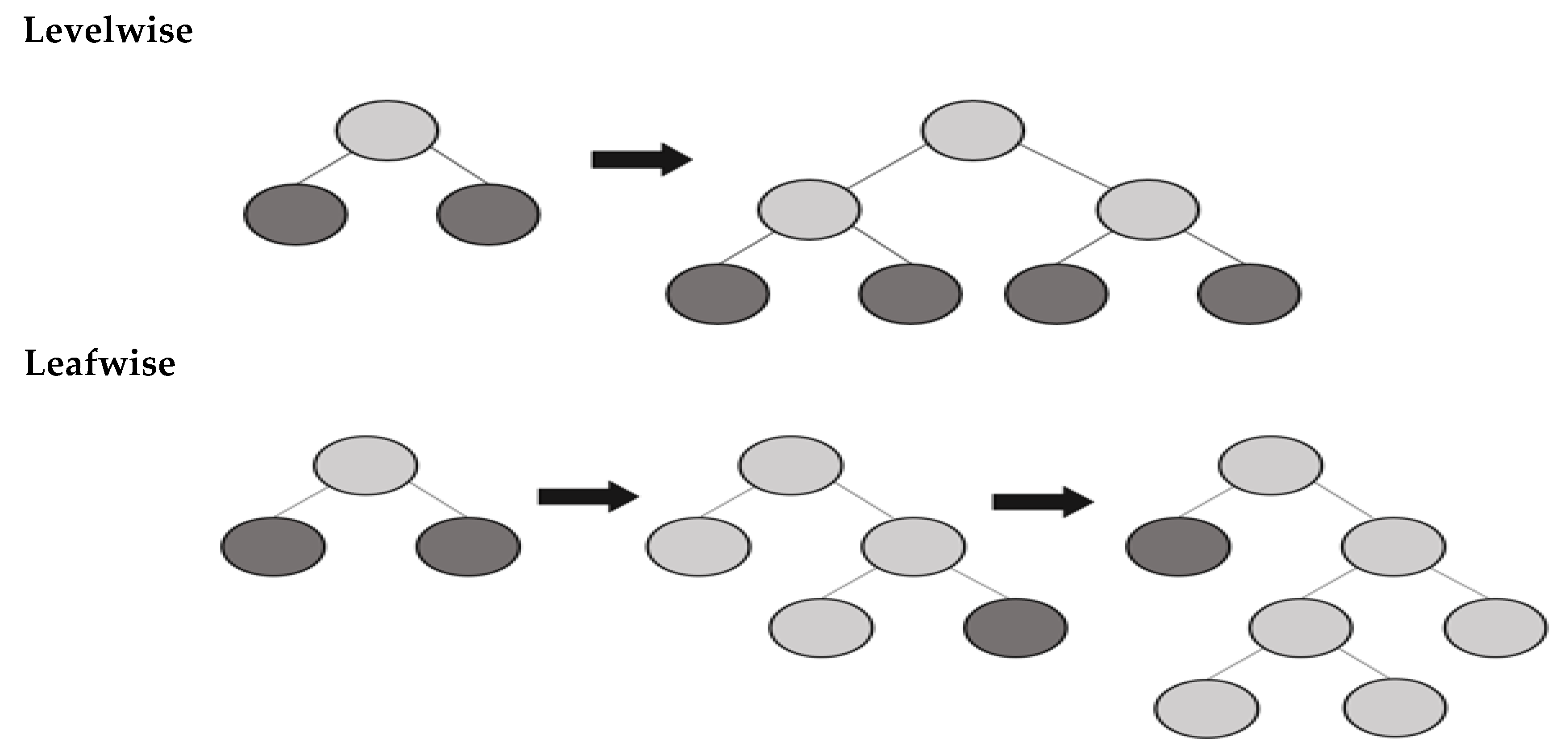 Catboost classifier. LIGHTGBM. Average output classification xgboost