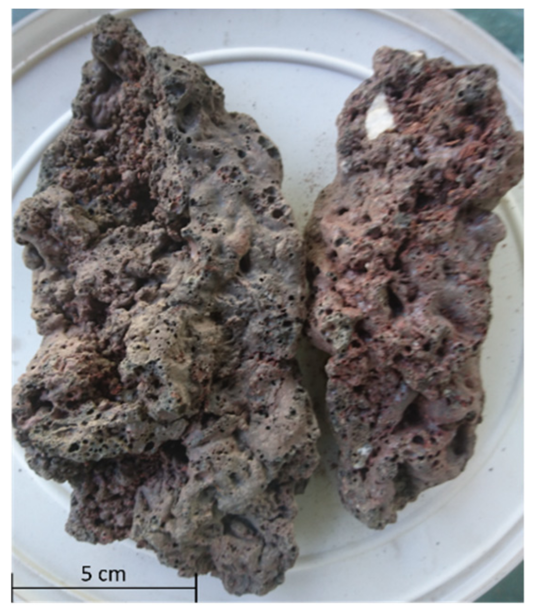 Energies 13 01708 g004