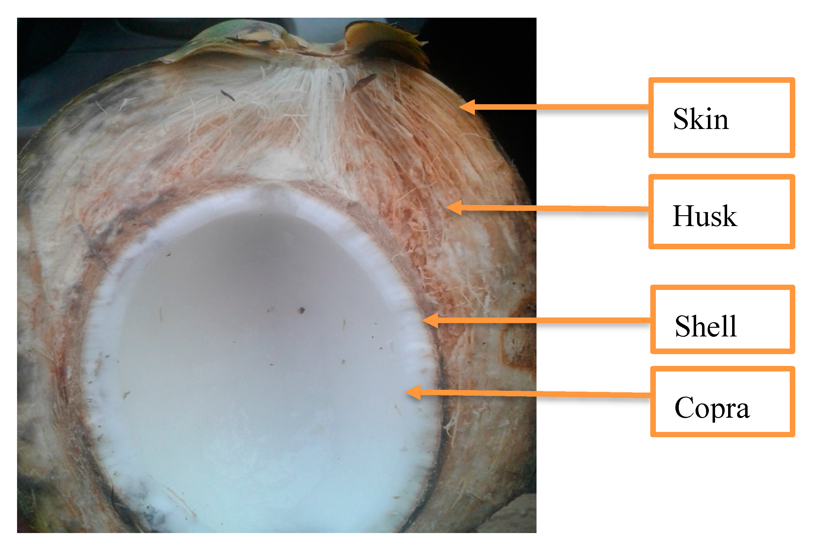 Energies 13 02178 g002