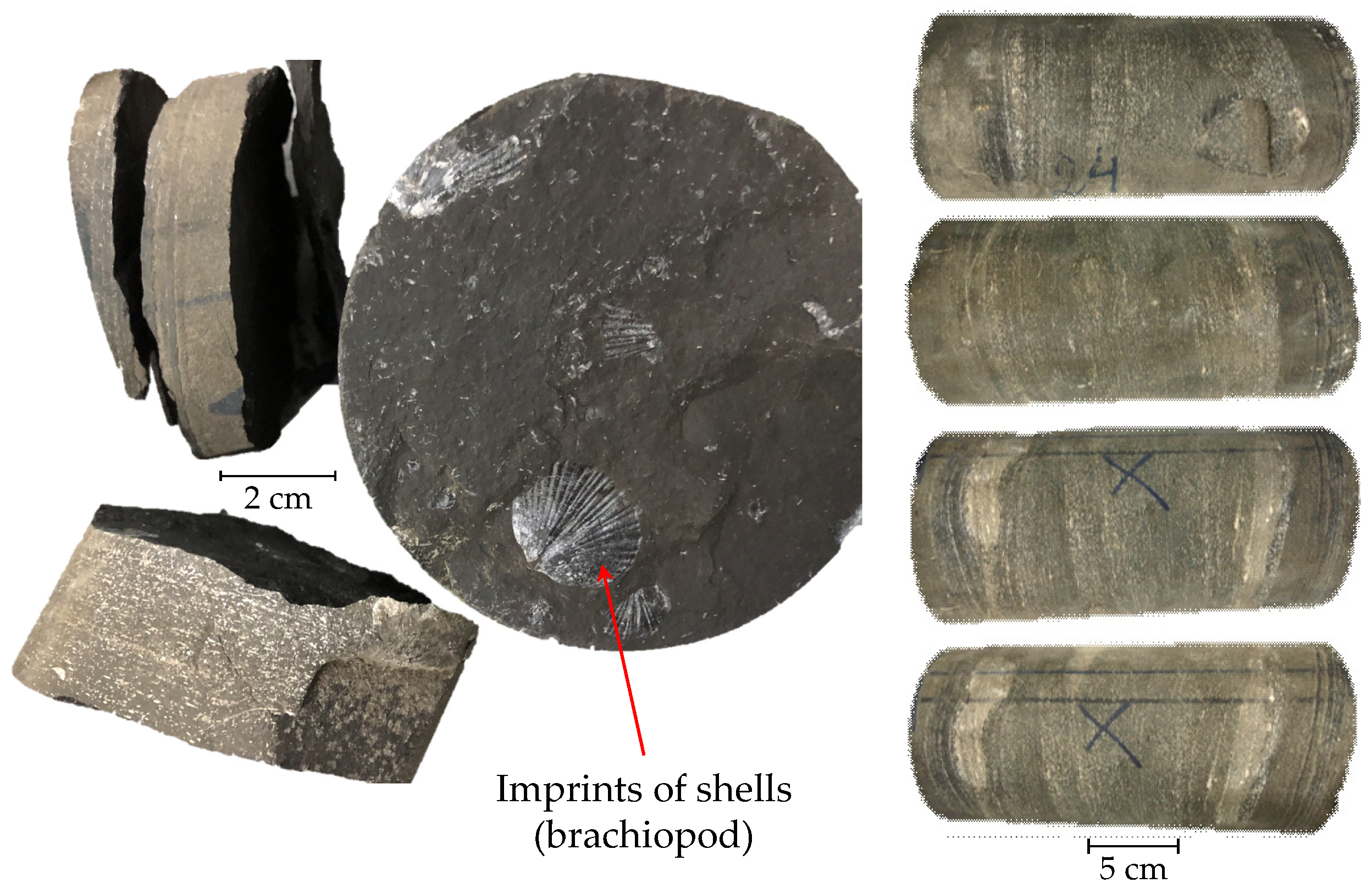 Energies 13 02233 g0a1 Energies 13 02233 g0a1