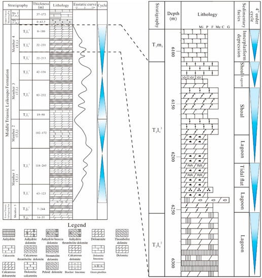 yuuu. Origins and Geochemistry of Oolitic Dolomite of the