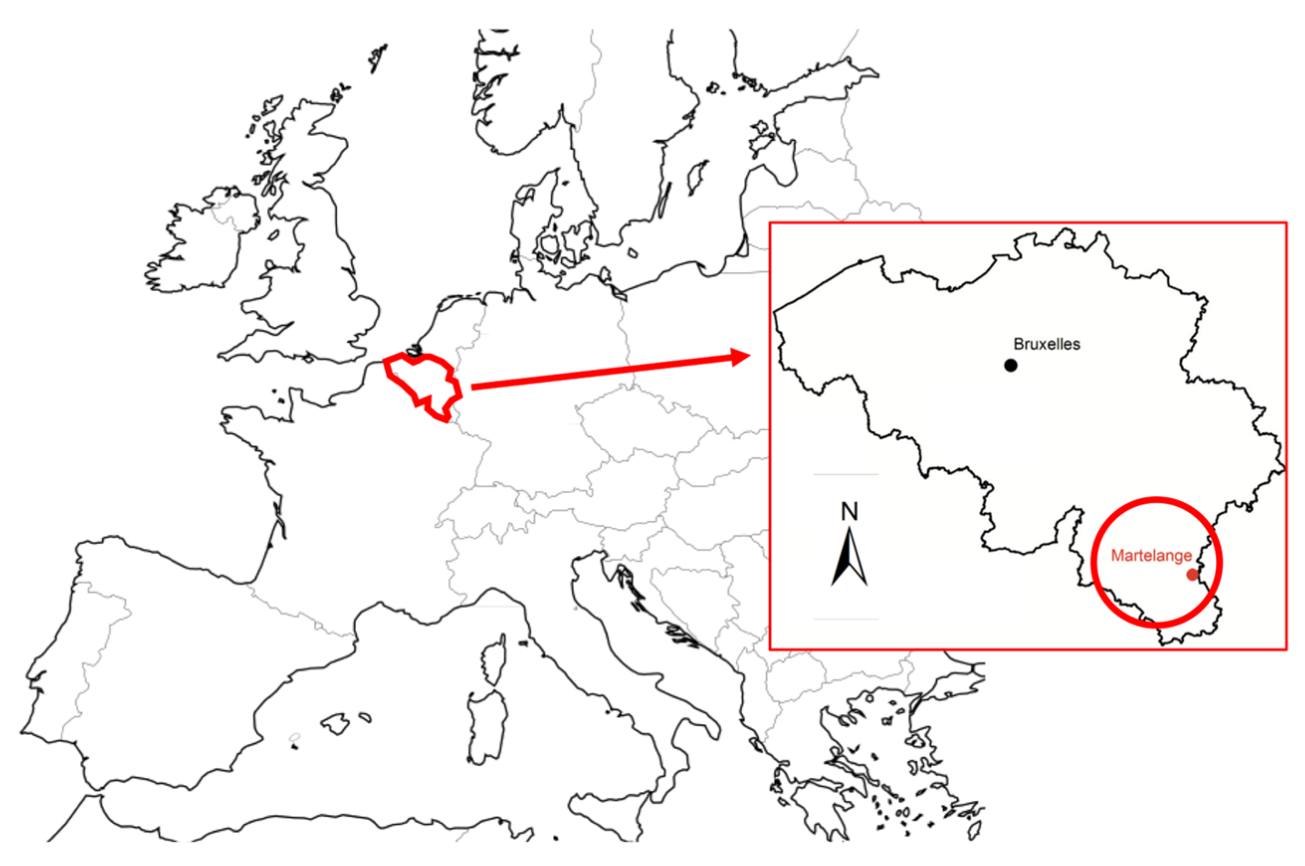 Energies 13 02353 g001