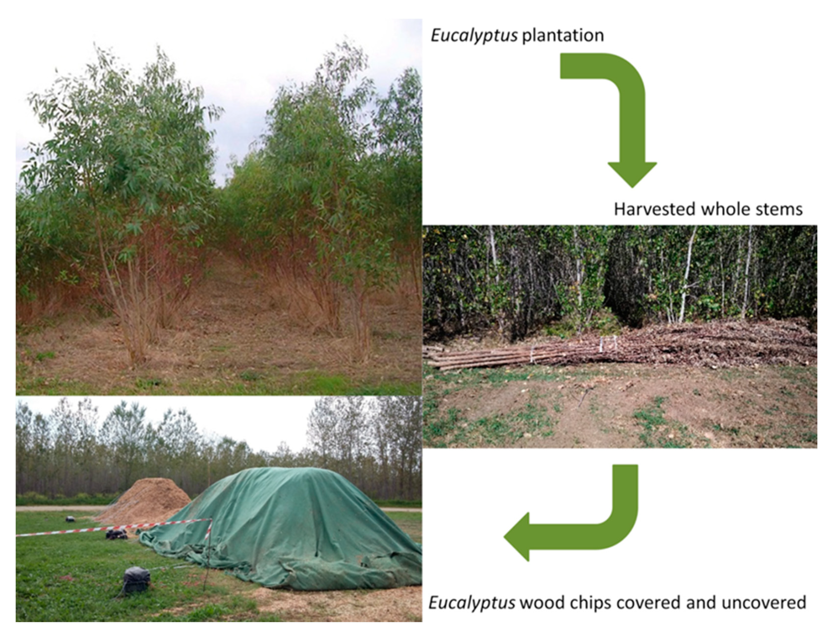 Energies 13 02355 g001 Energies 13 02355 g001