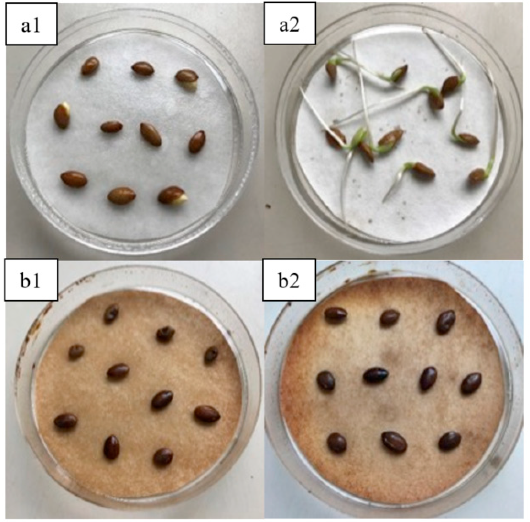 Energies 13 02418 g002