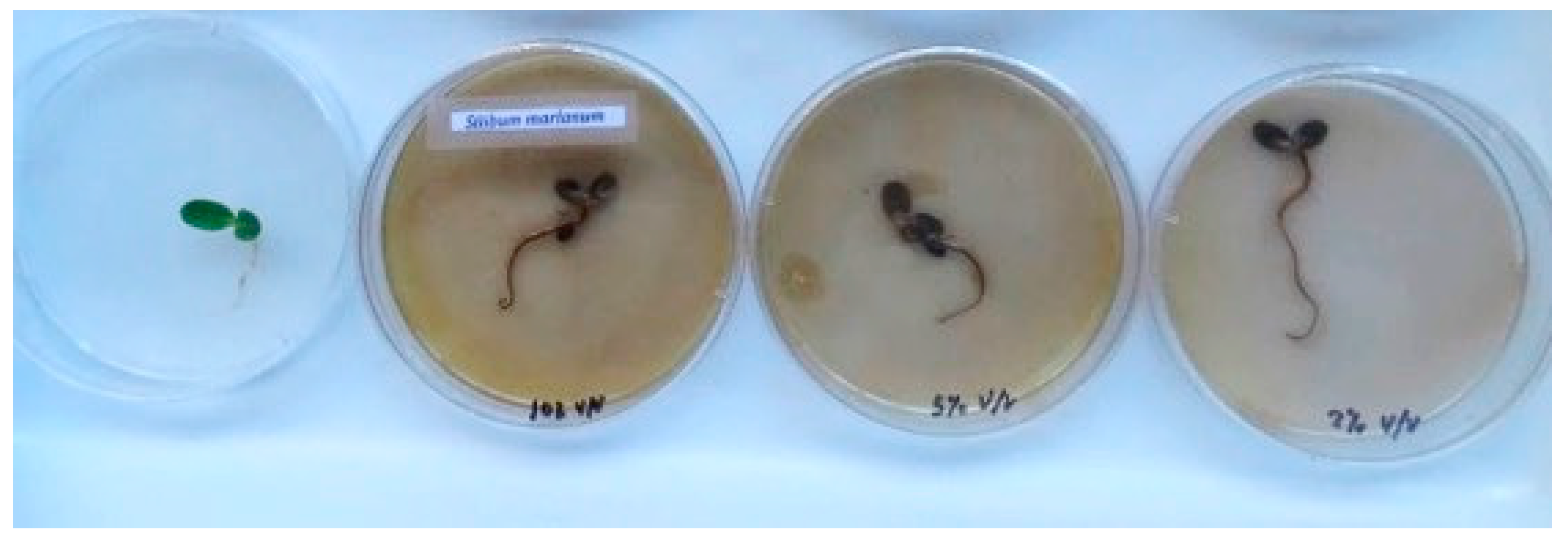 Energies 13 02418 g003