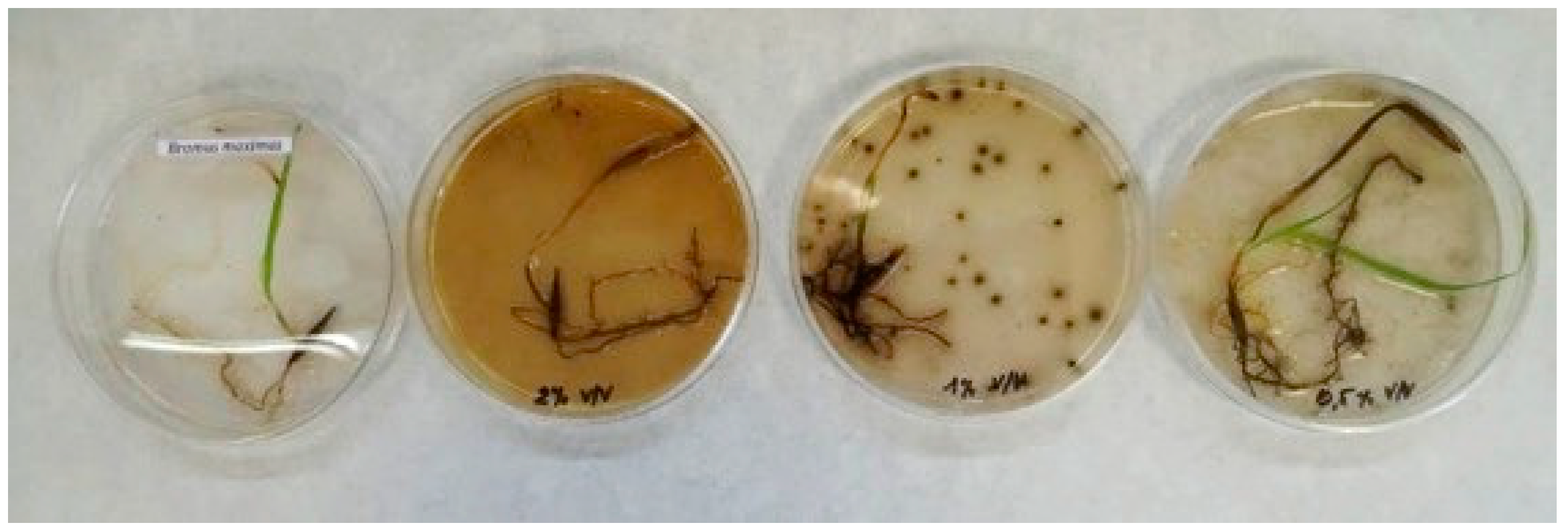 Energies 13 02418 g004