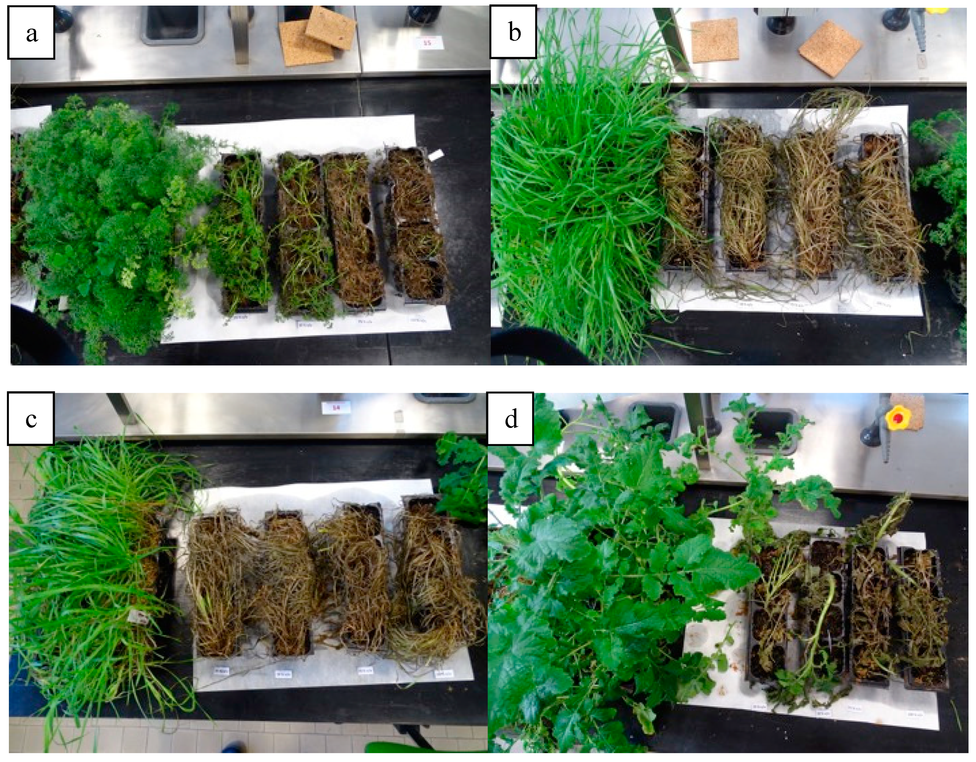 Energies 13 02418 g005