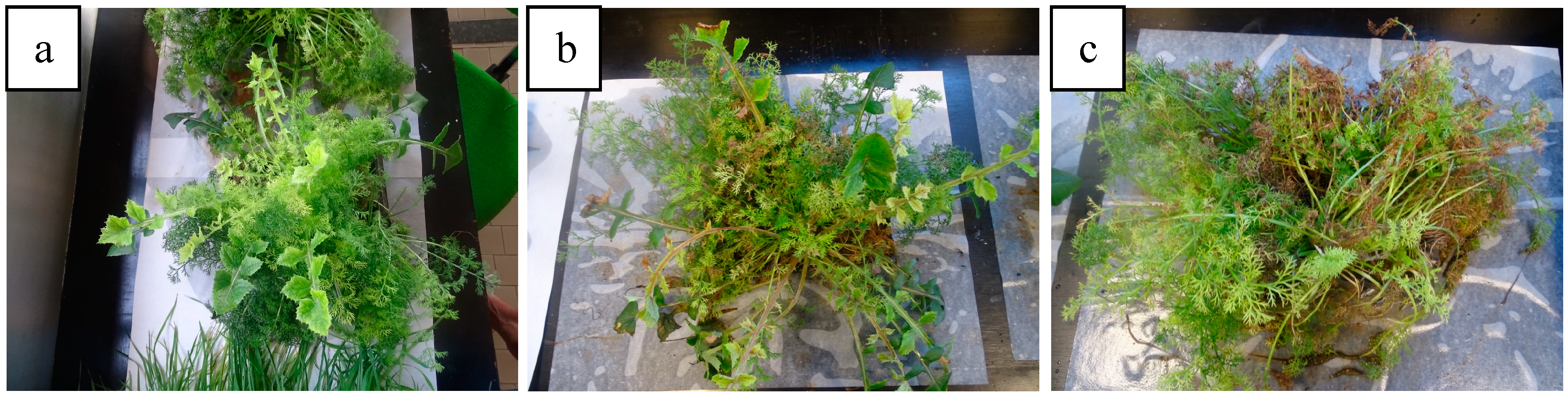 Energies 13 02418 g006