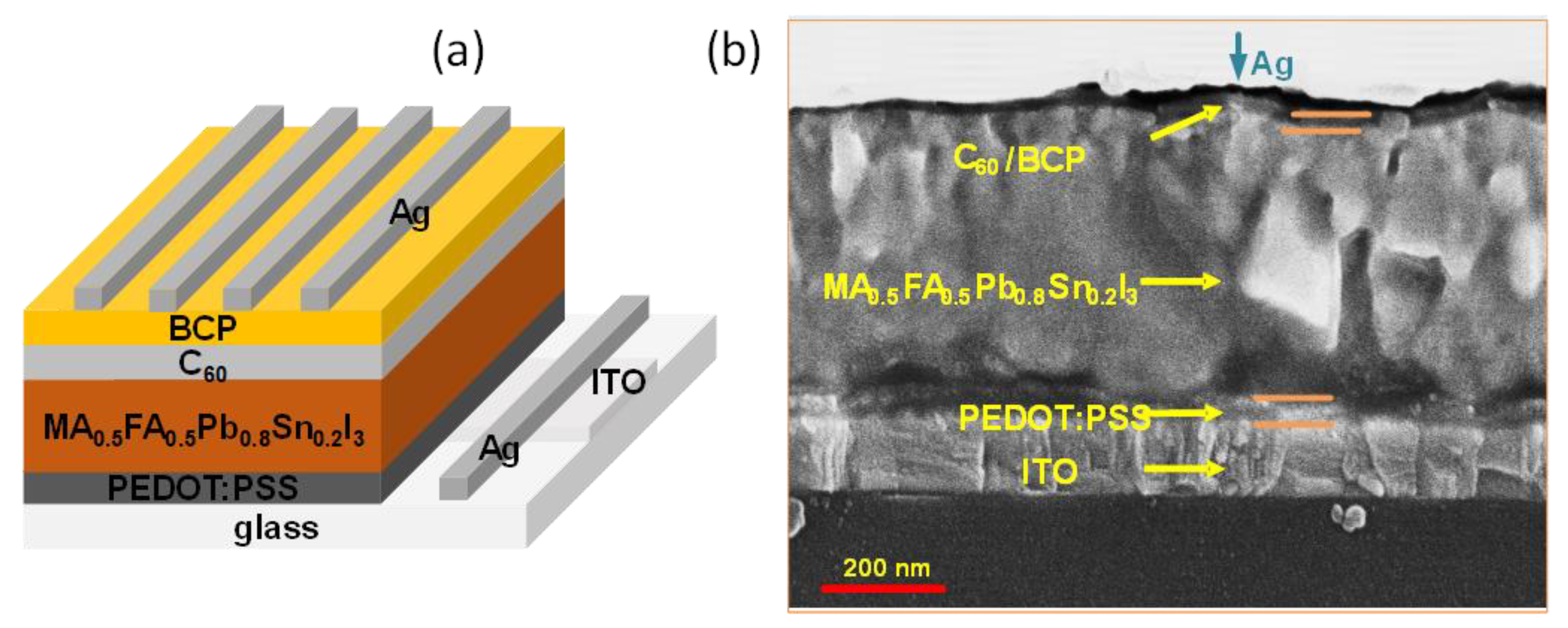Energies 13 02438 g002