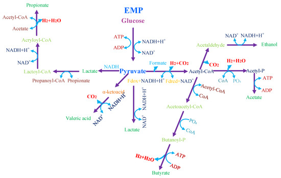 Jun PDF) Ab initio vibrational and dielectric properties of