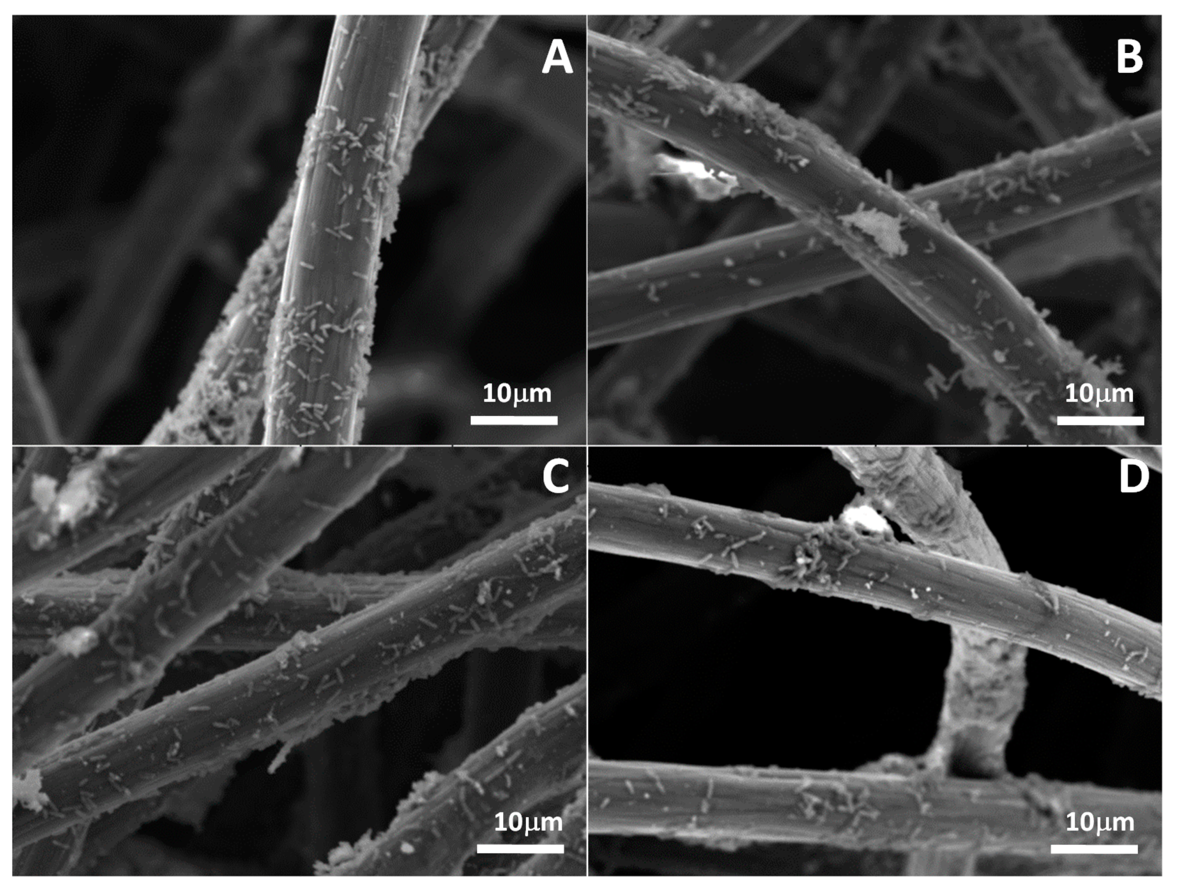 Energies 13 02572 g006 Energies 13 02572 g006