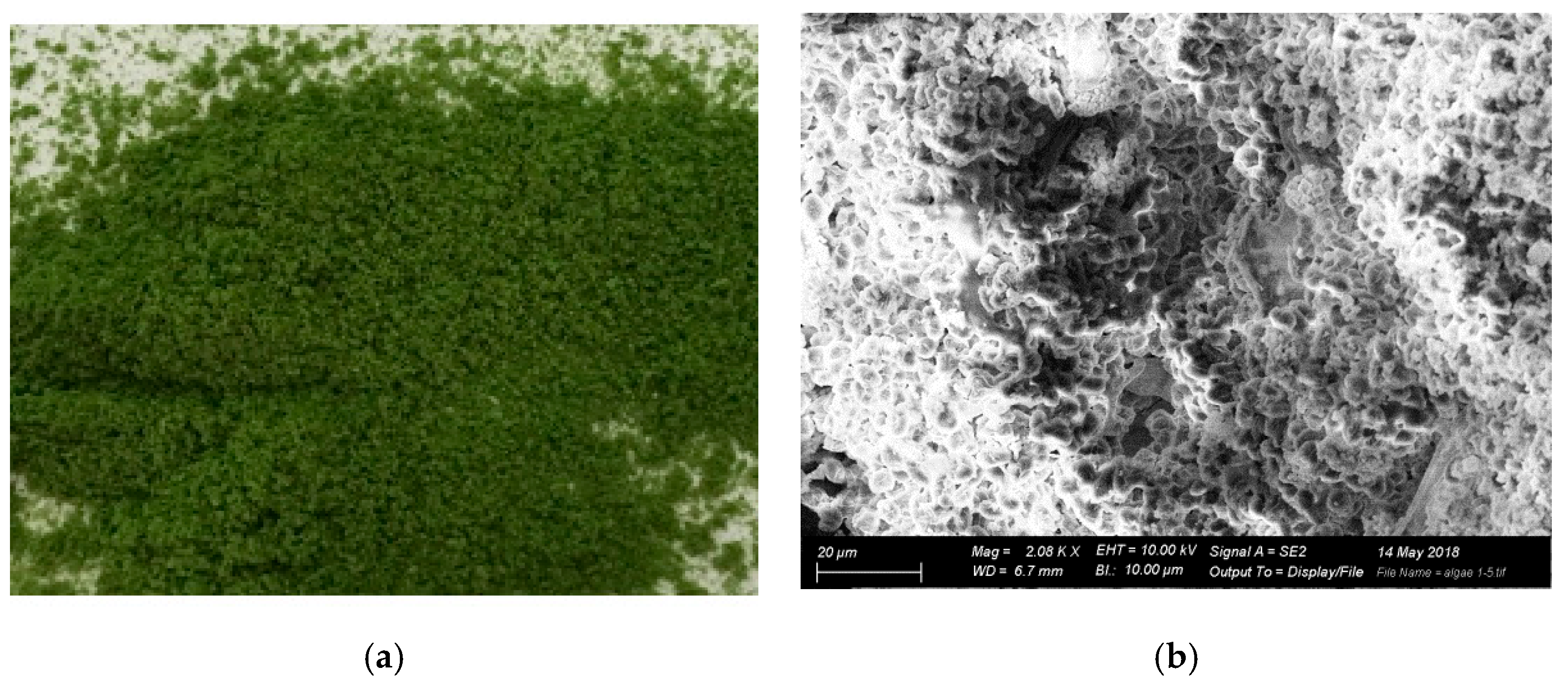 Energies 13 02648 g003 Energies 13 02648 g003