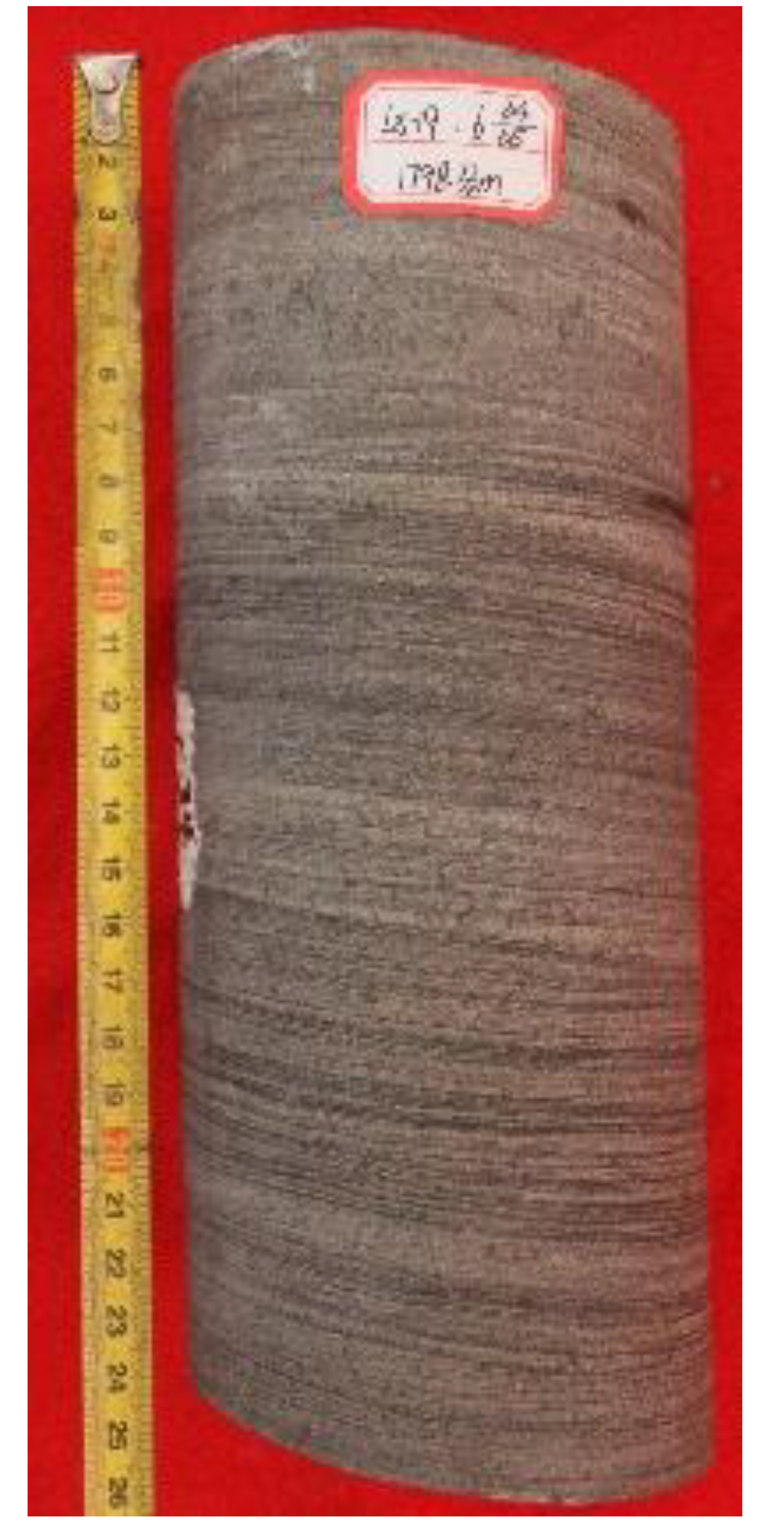 Energies 13 02694 i008 Energies 13 02694 i008