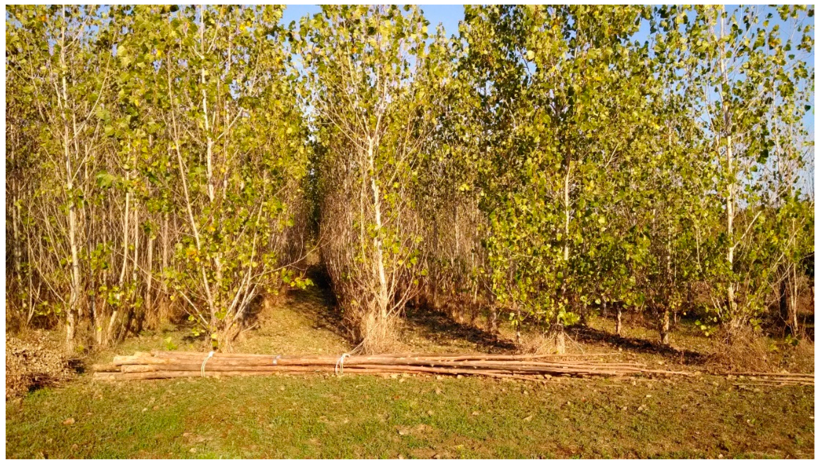 Energies 13 02915 g002 Energies 13 02915 g002