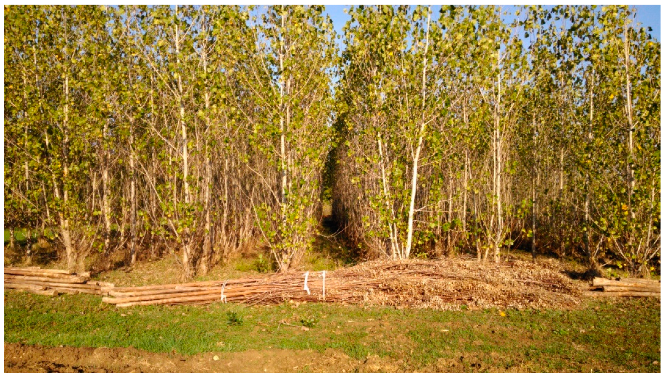 Energies 13 02915 g003 Energies 13 02915 g003