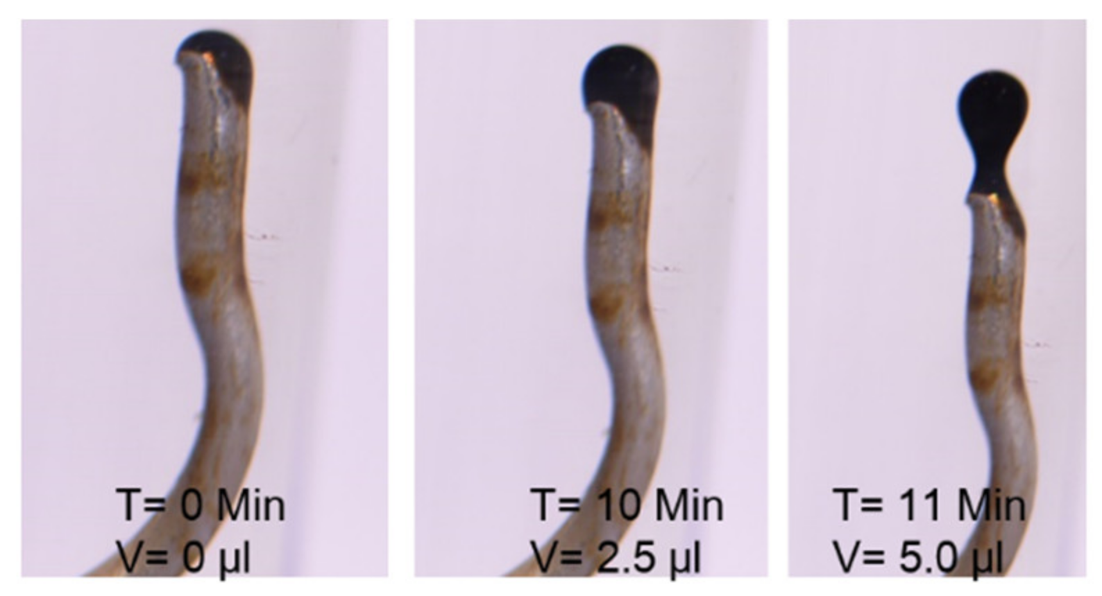 Energies 13 03049 g008