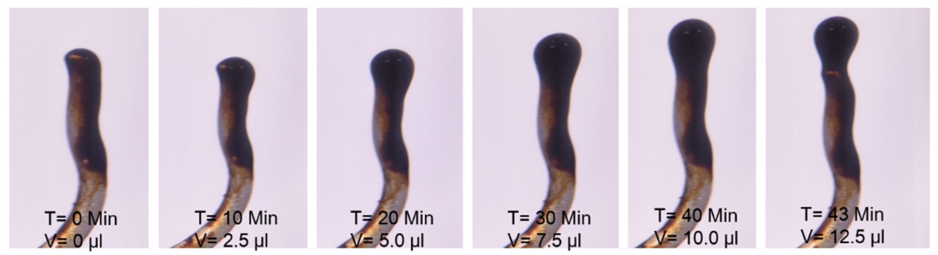 Energies 13 03049 g009