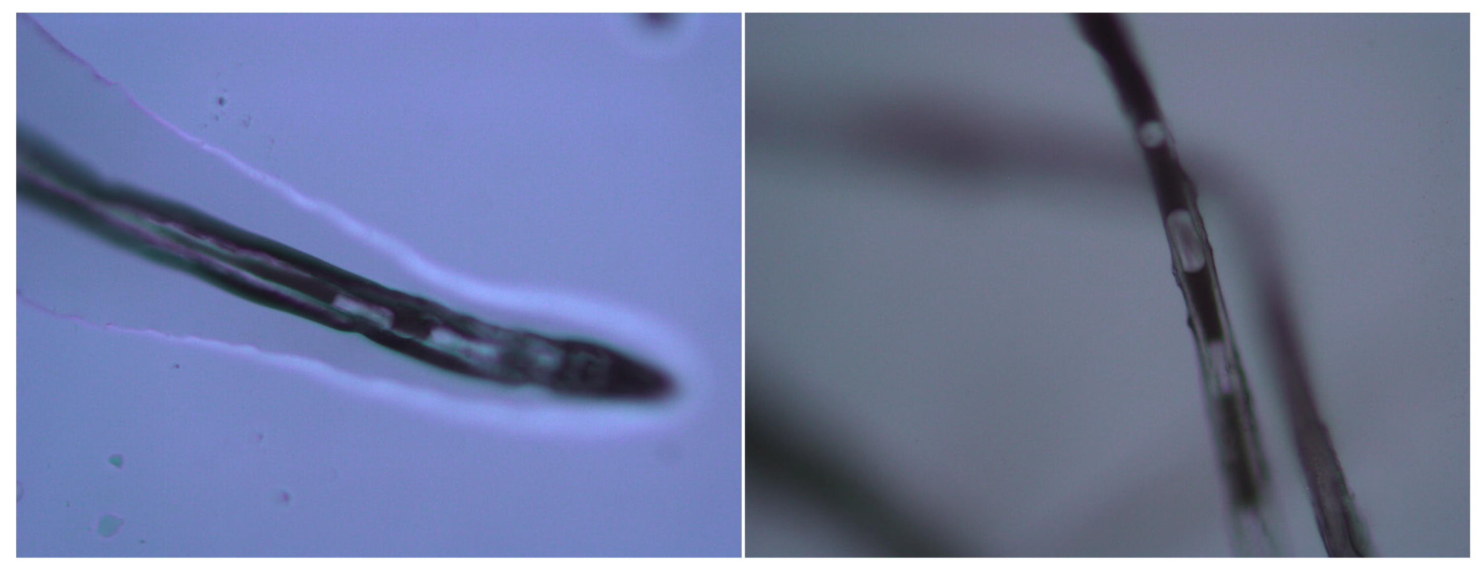 Energies 13 03065 g005 Energies 13 03065 g005