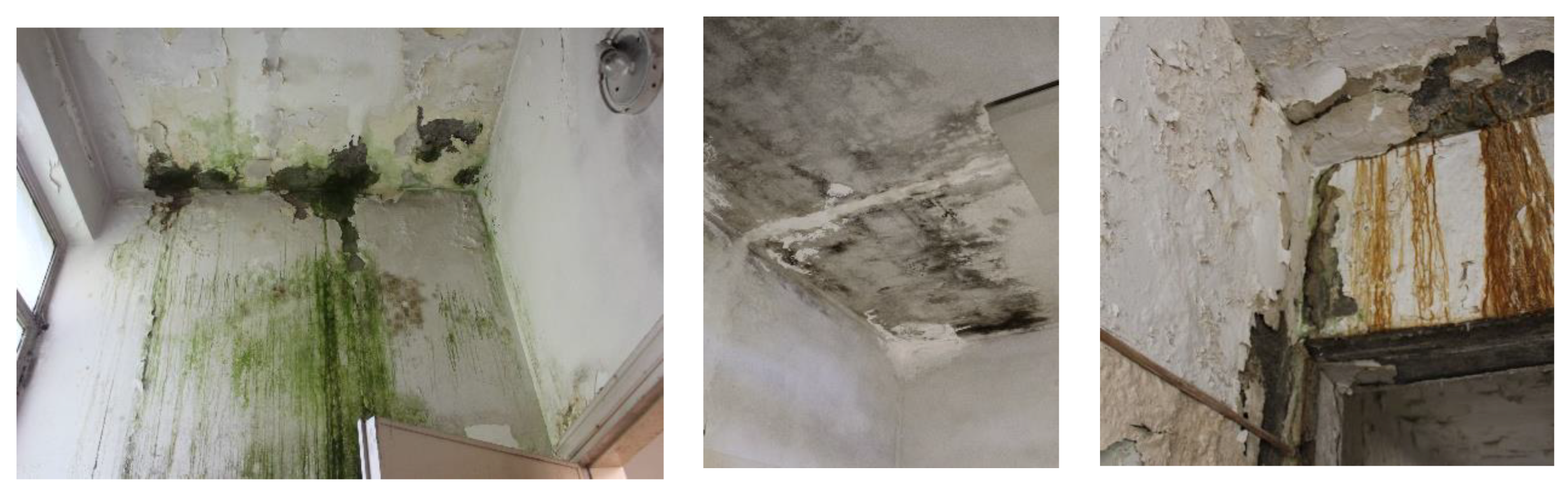 Energies 13 03289 g009