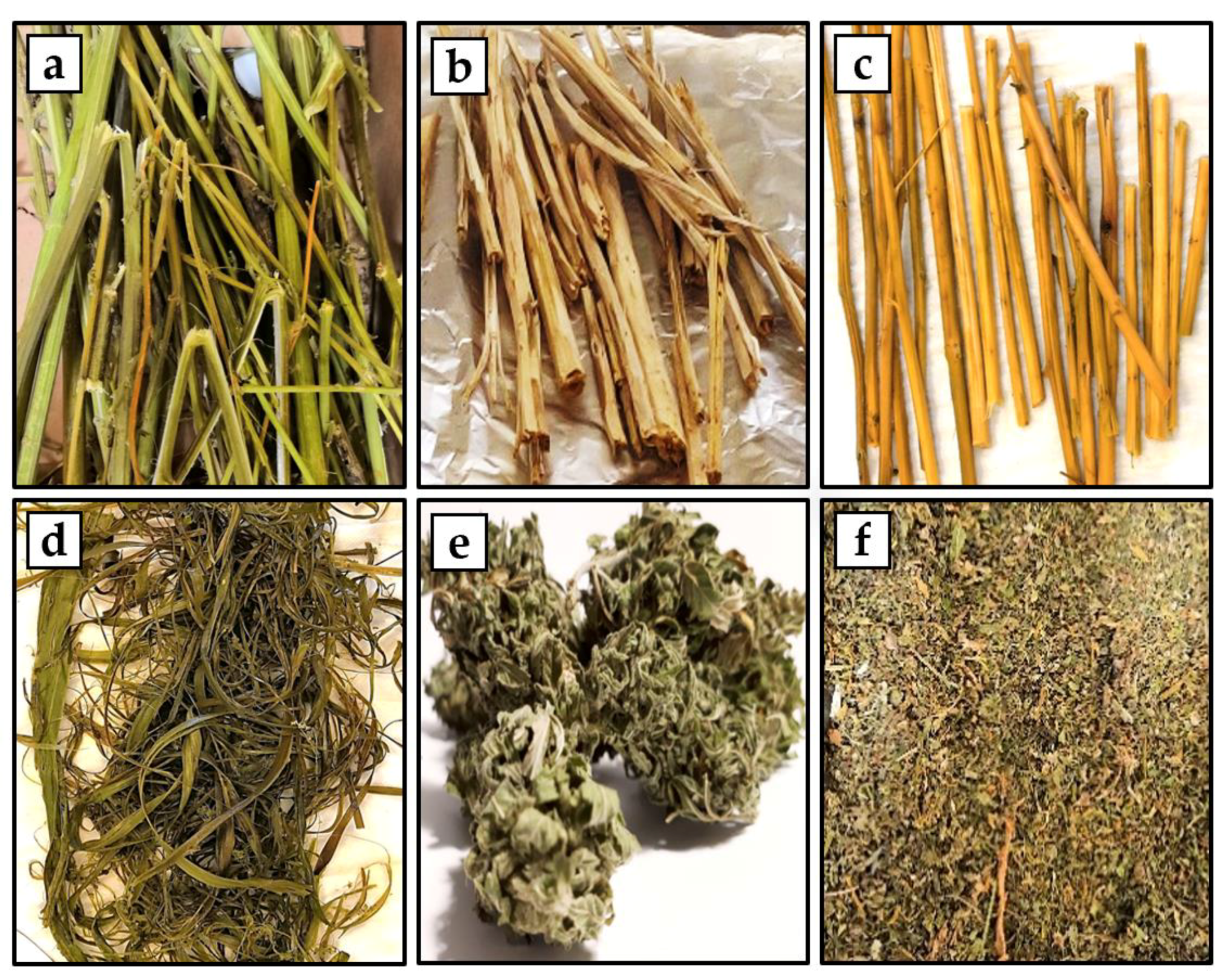 Energies 13 03361 g002