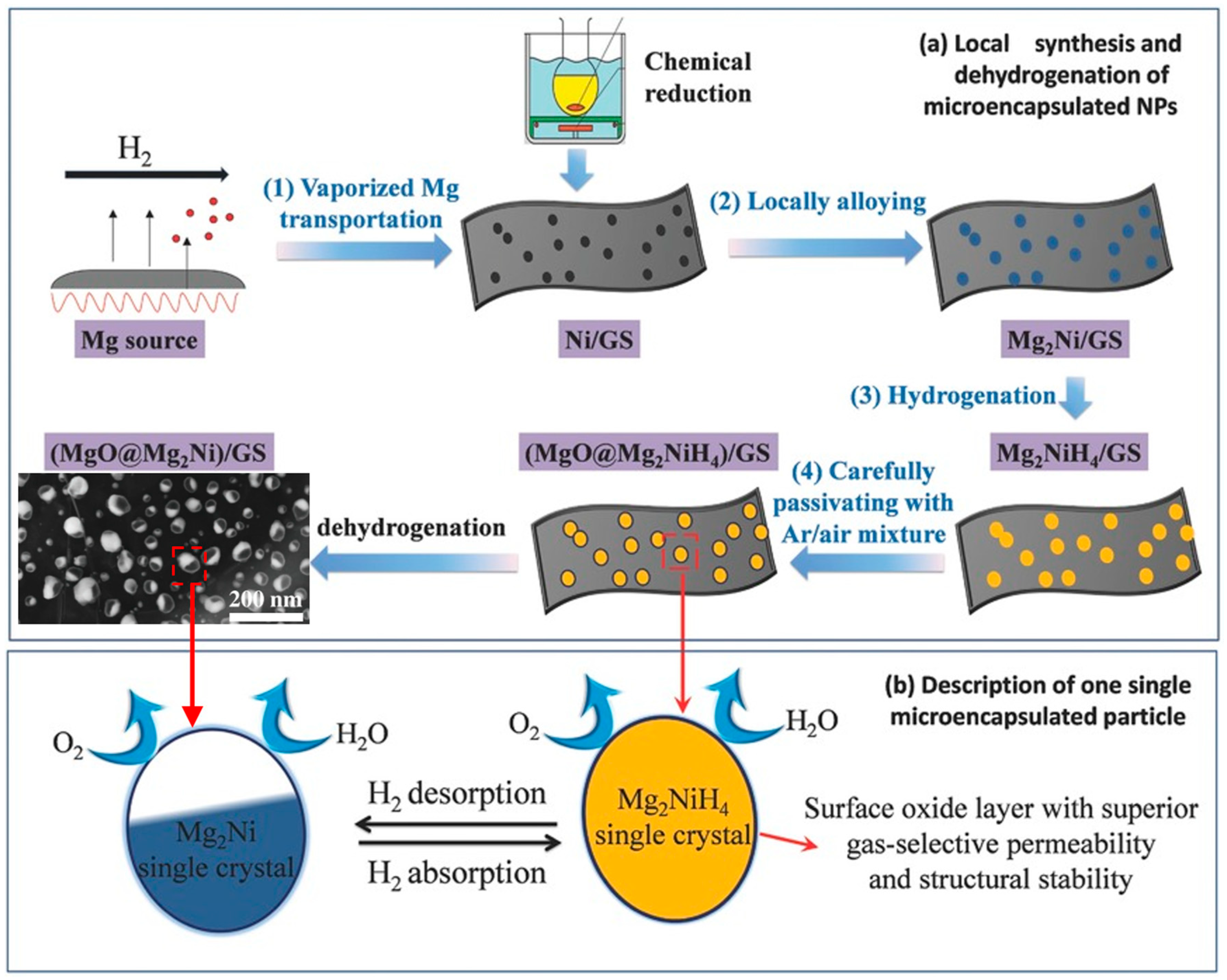 Energies 13 03503 g009