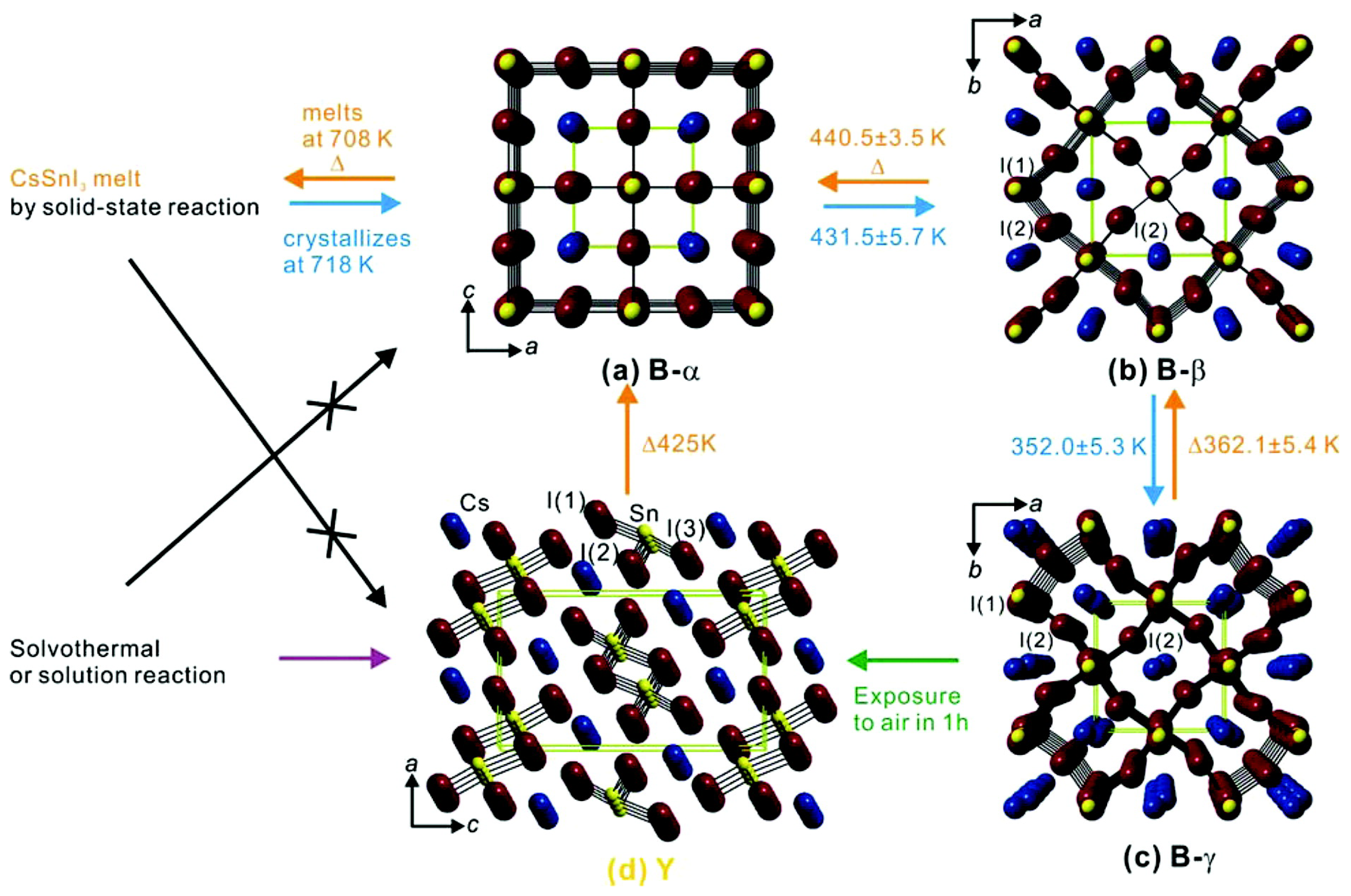 Halide Pb-Free Double–Perovskites: Ternary vs. Quaternary