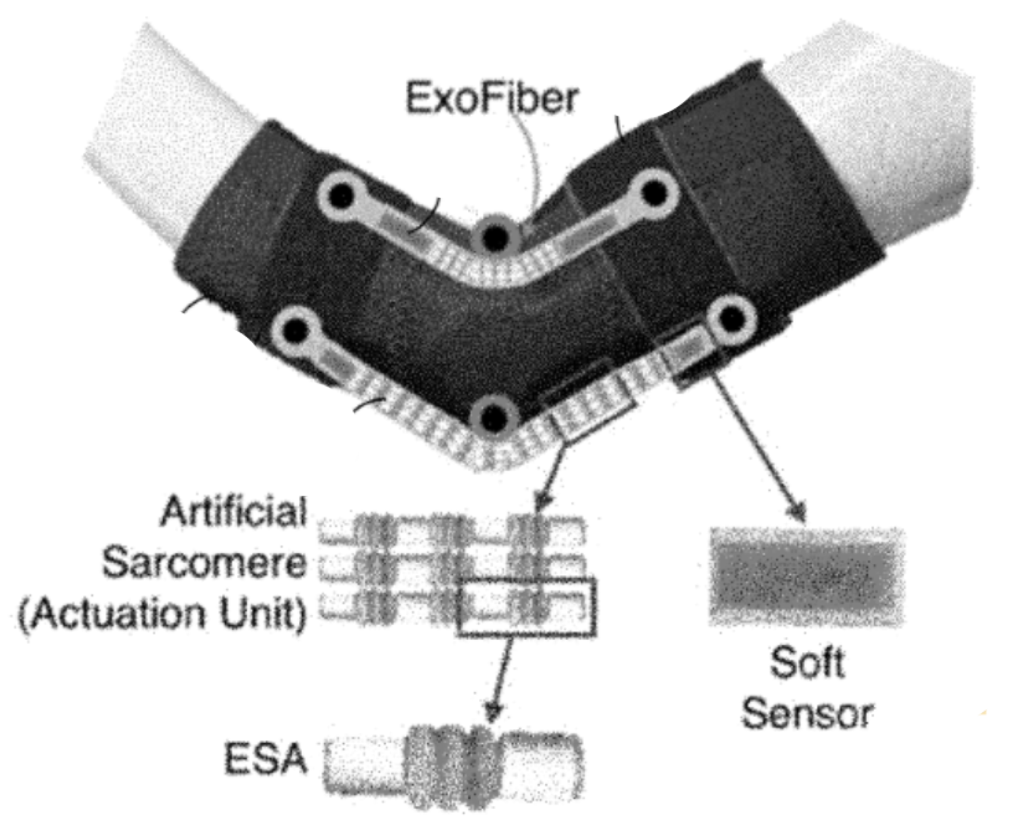 Energies 13 03572 g006 Energies 13 03572 g006