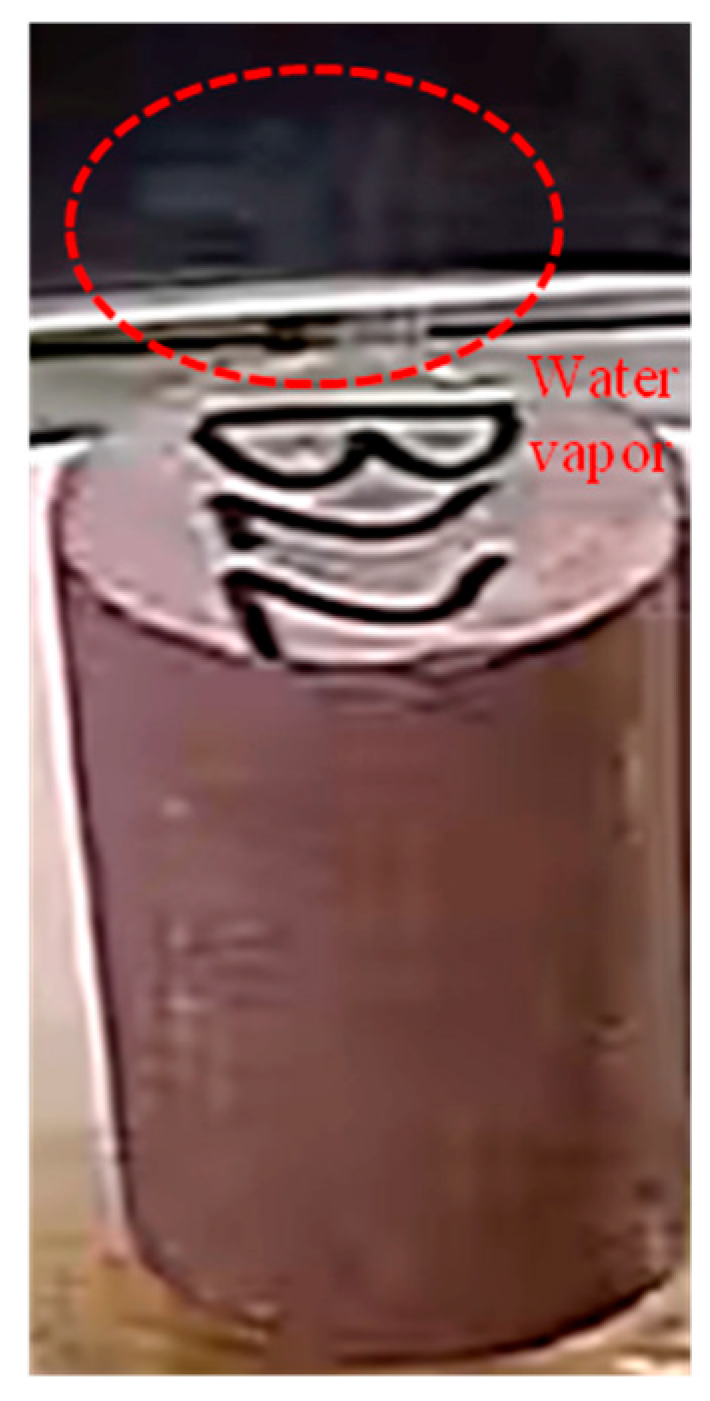 Energies 13 03614 g004 Energies 13 03614 g004