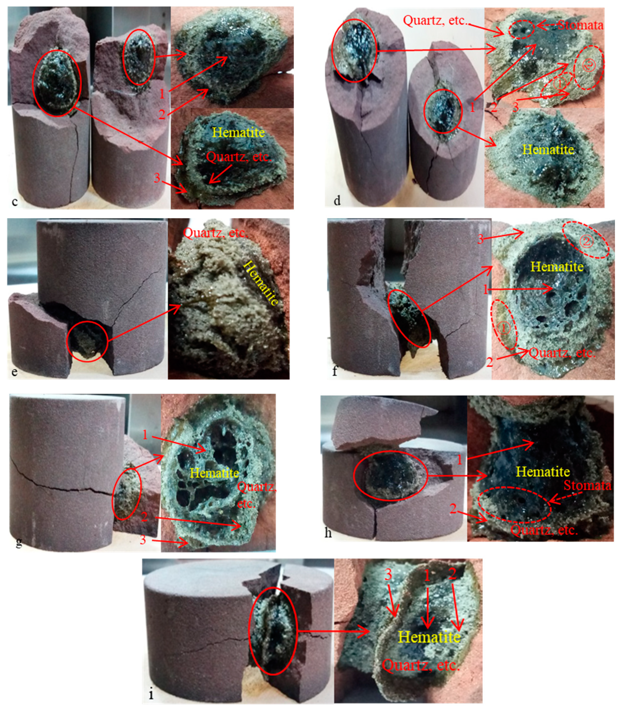 Energies 13 03614 g011b Energies 13 03614 g011b