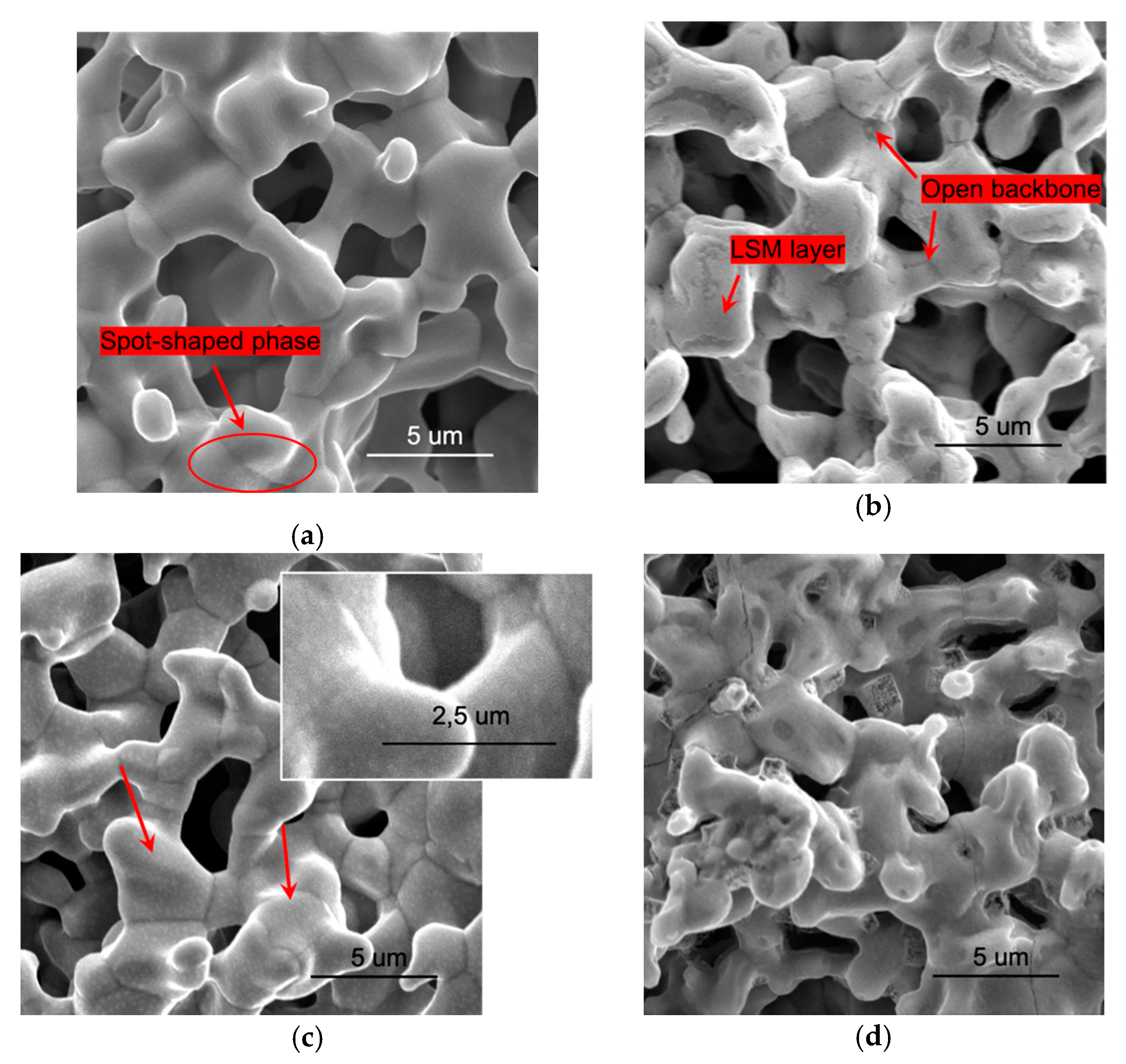 Energies 13 03659 g001 Energies 13 03659 g001