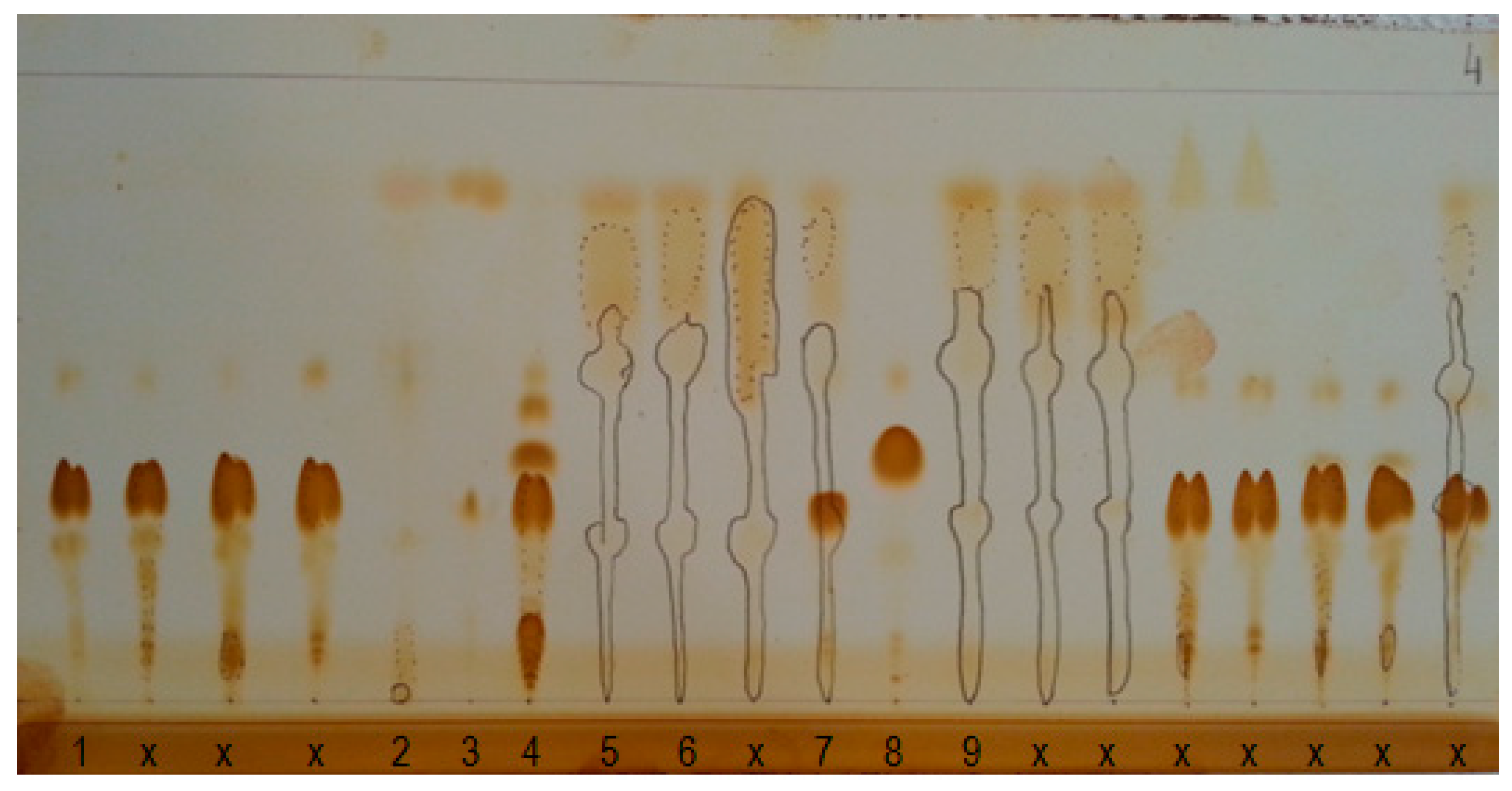 Energies 13 03772 g008