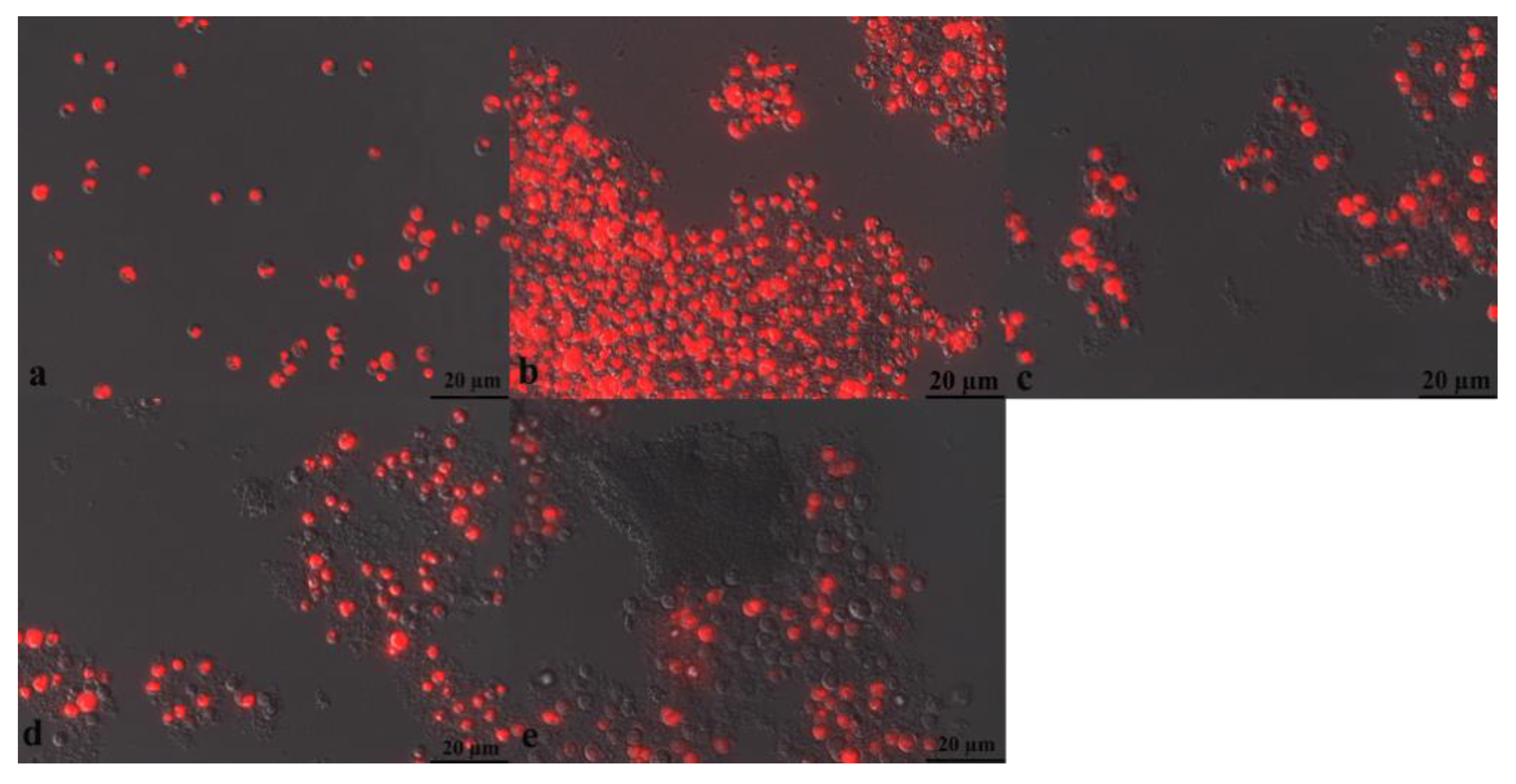 Energies 13 03813 g006 Energies 13 03813 g006