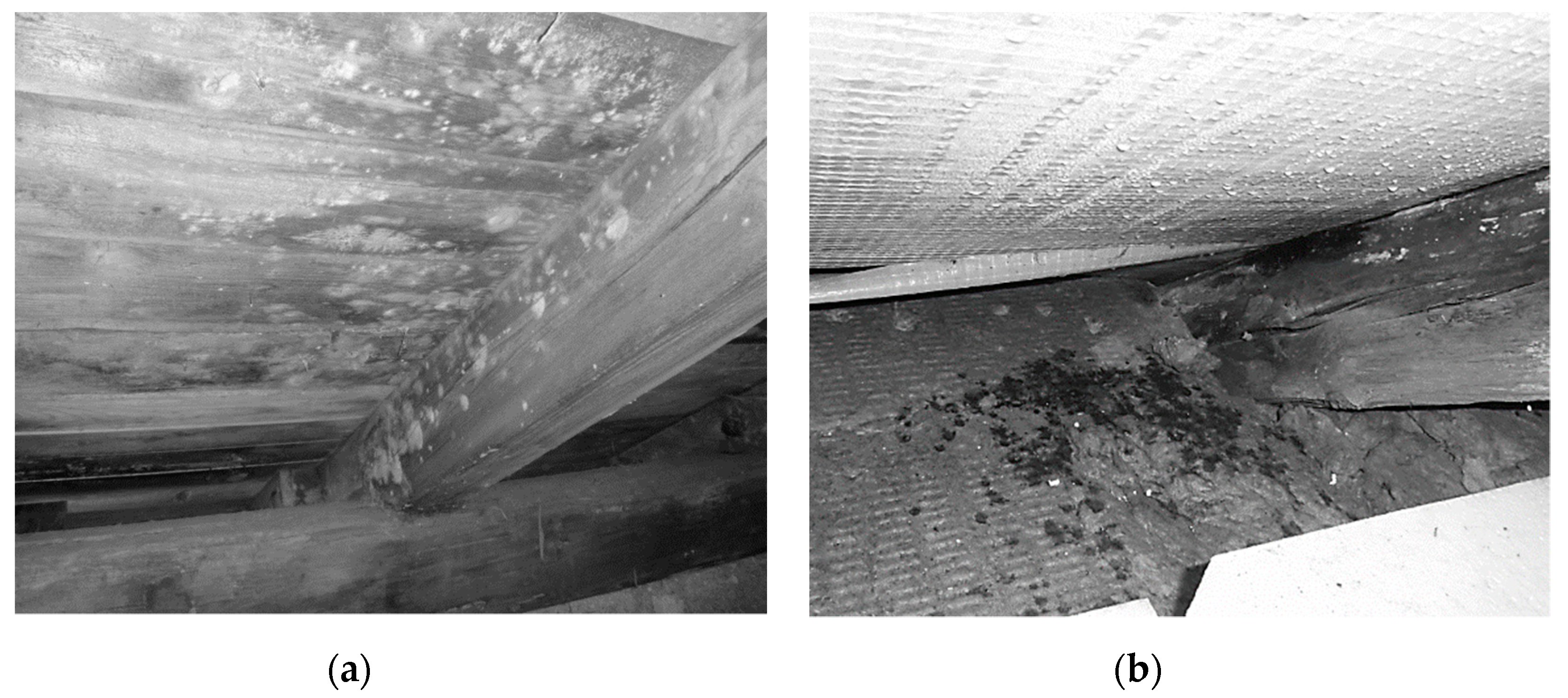 Energies 13 03856 g002