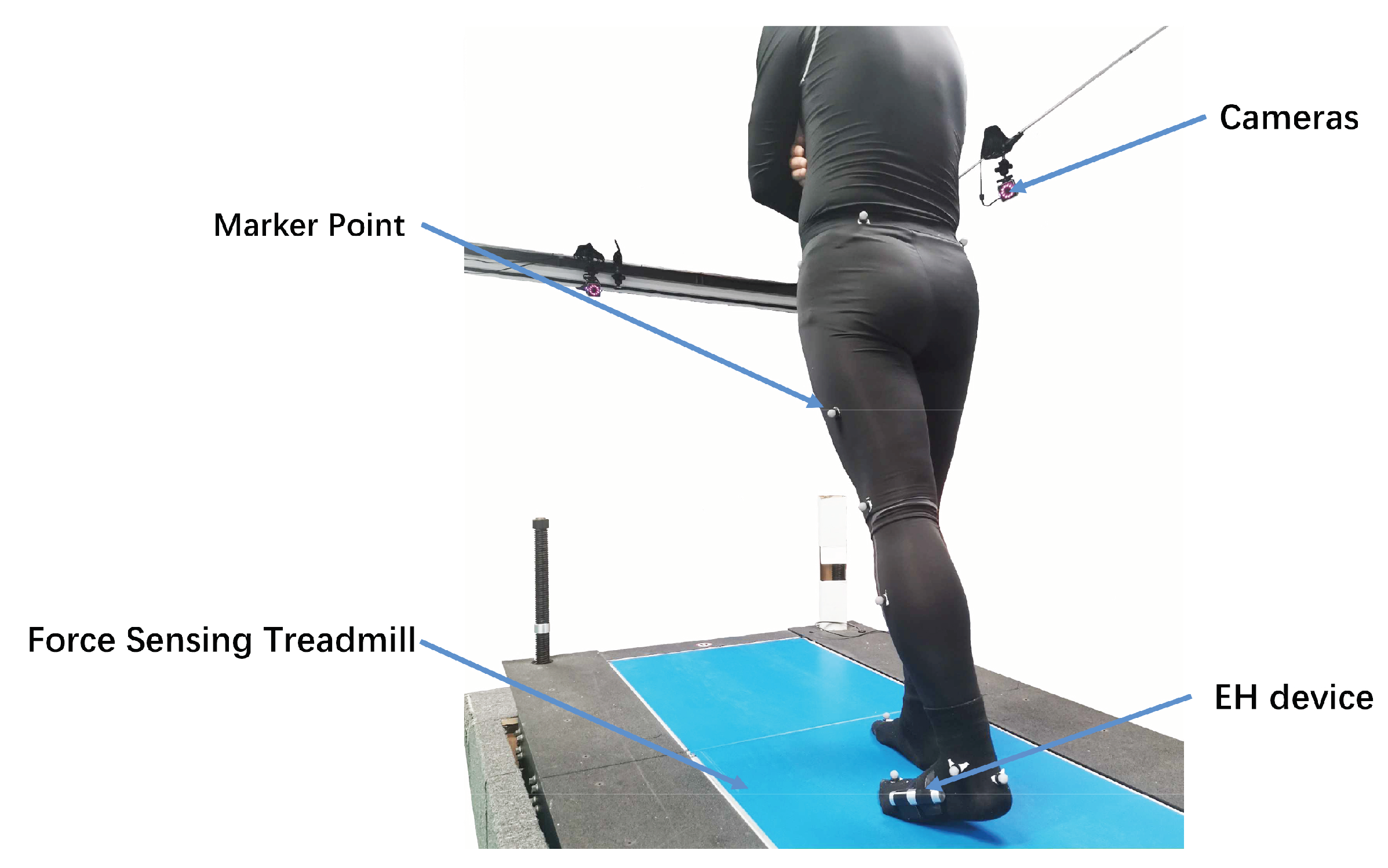 Energies 13 03871 g007