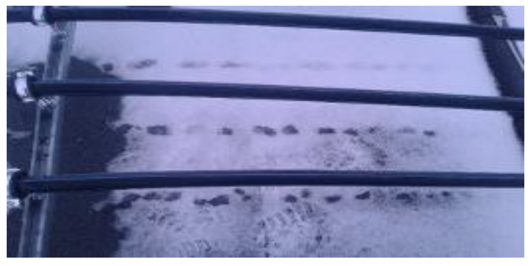 Energies 13 03878 g003