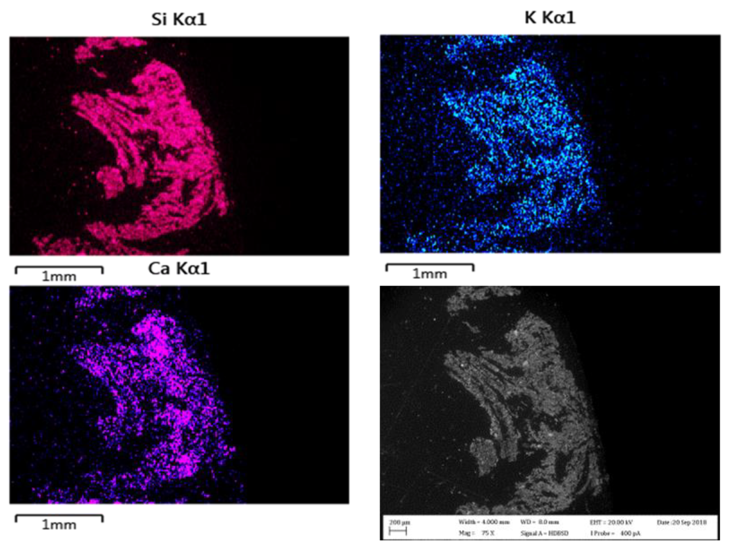 Energies 13 03935 g006