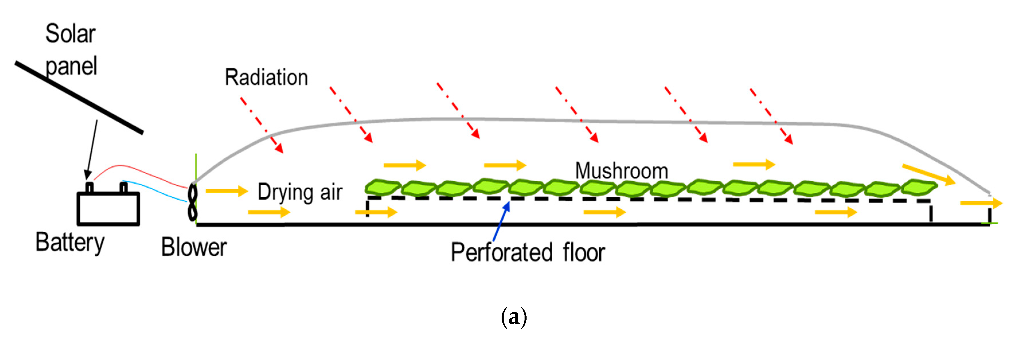 Energies 13 04122 g003a