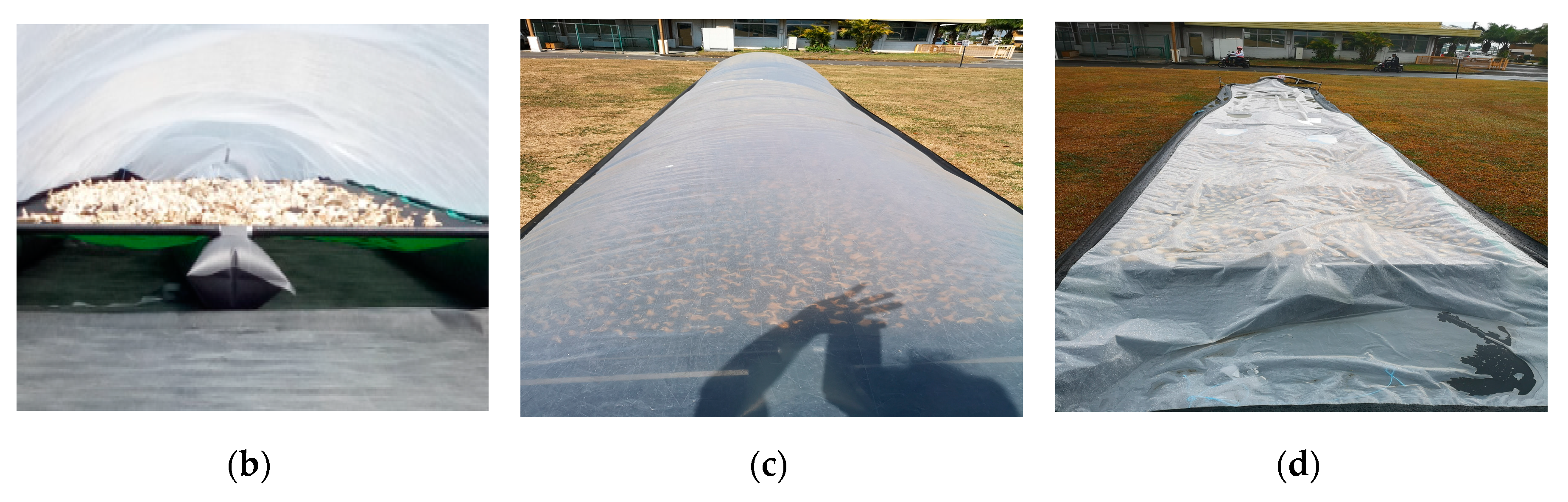 Energies 13 04122 g003b