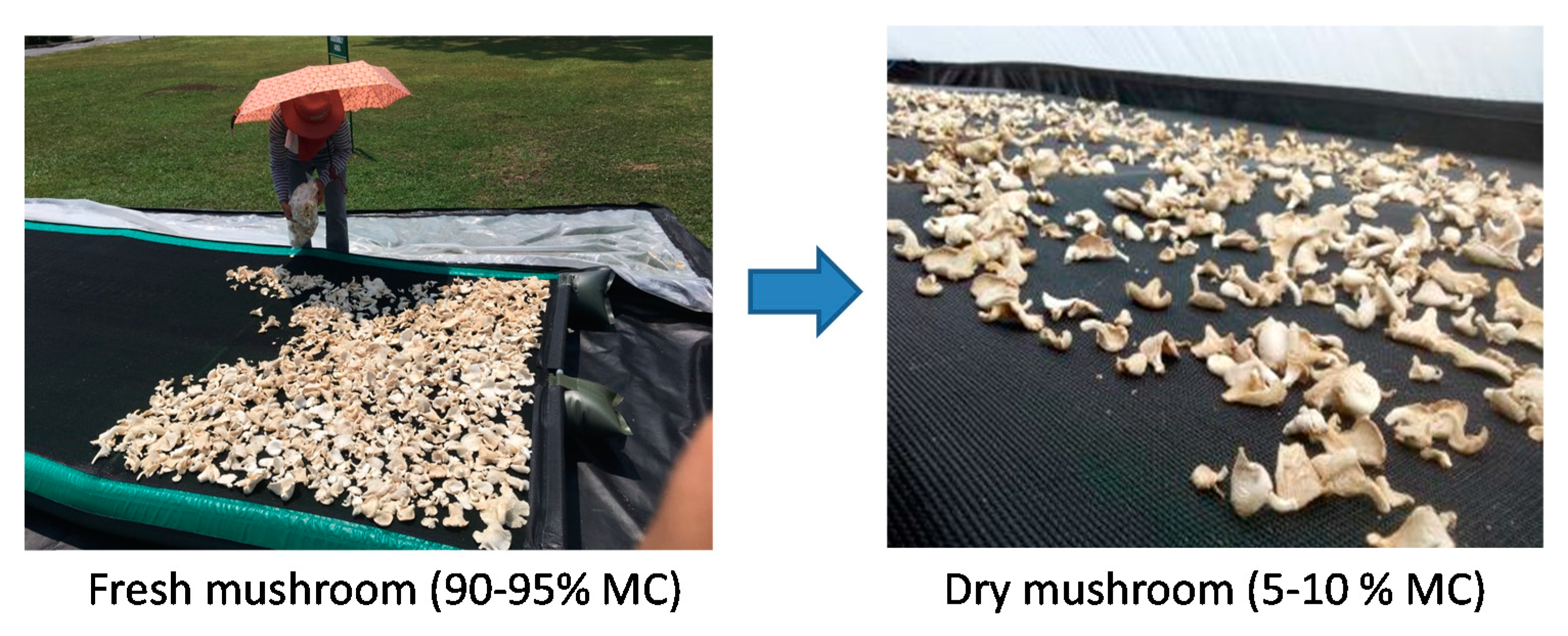 Energies 13 04122 g006