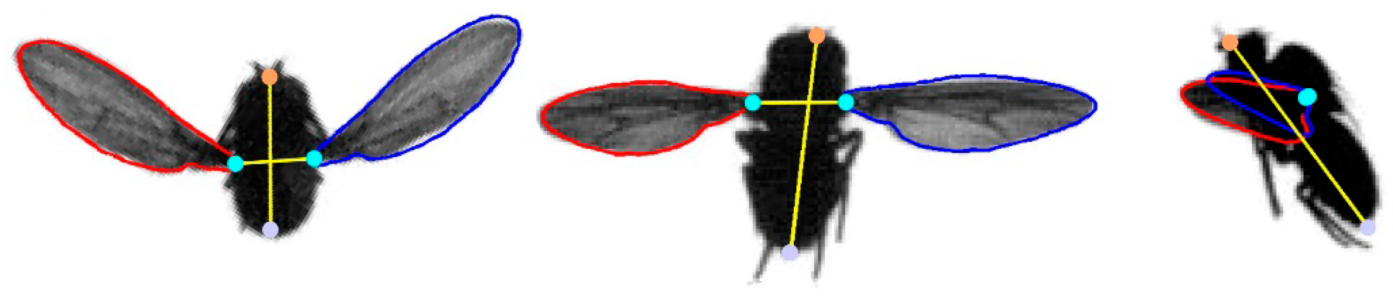 Energies 13 04271 g004