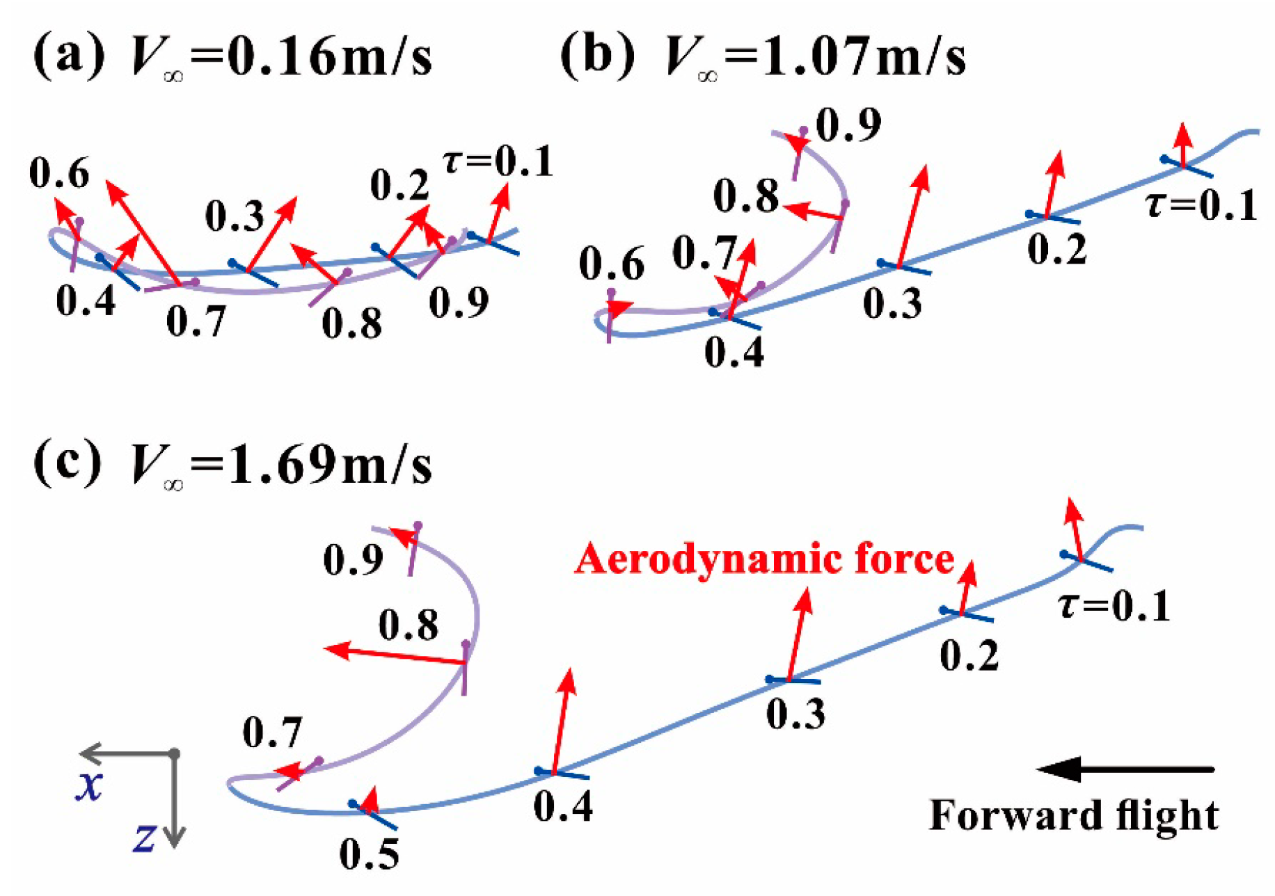Energies Free Full Text Kinematics Measurement And Power Requirements Of Fruitflies At Various Flight Speeds Html