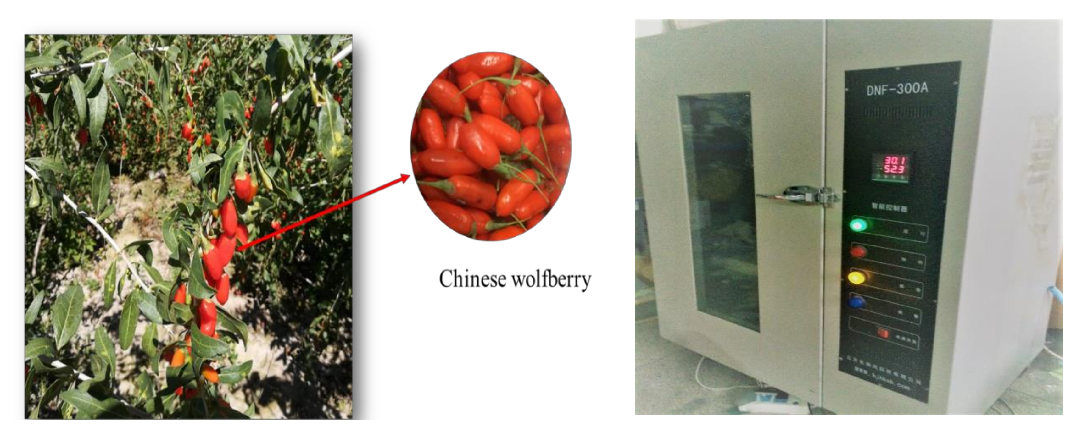 Energies 13 04306 g002 Energies 13 04306 g002