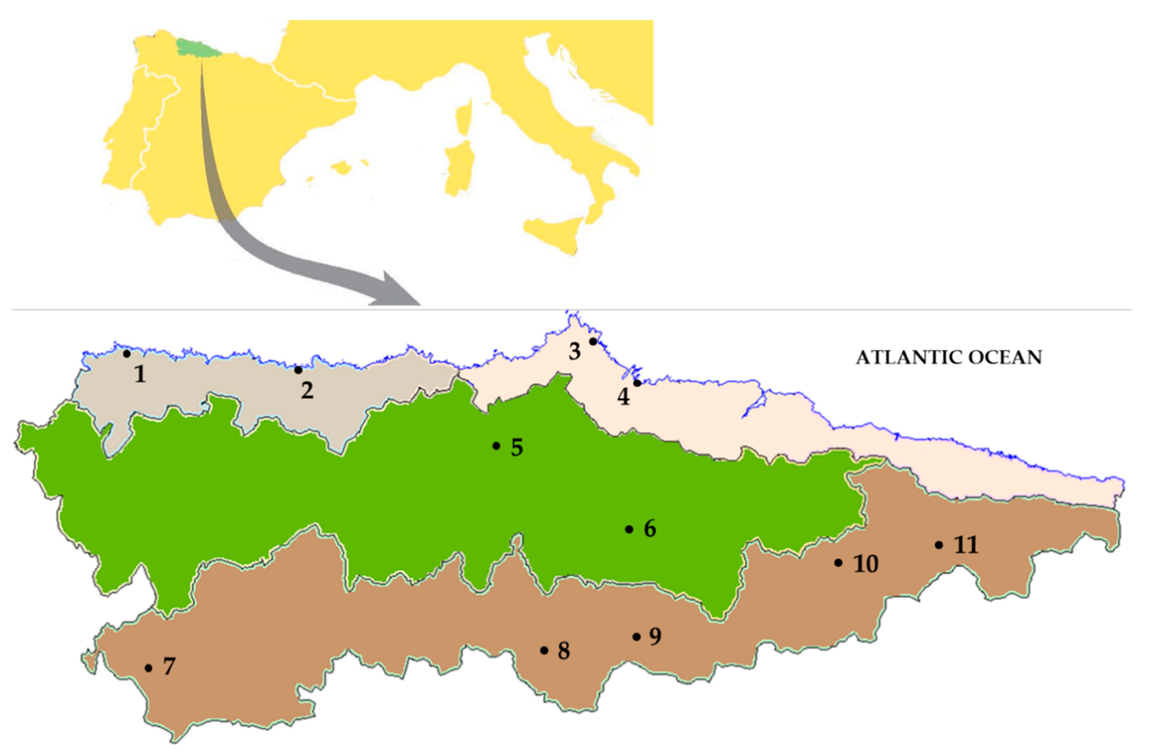 Energies 13 04337 g003