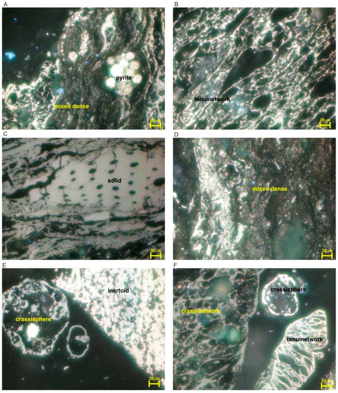 Energies 13 04374 g003