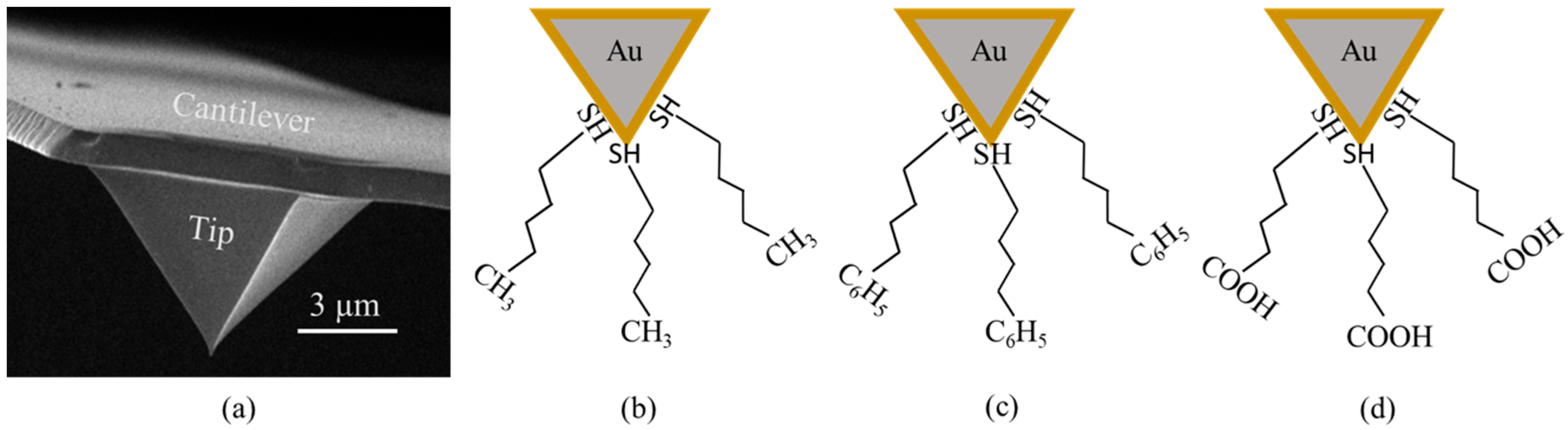 Energies 13 04443 g002 Energies 13 04443 g002