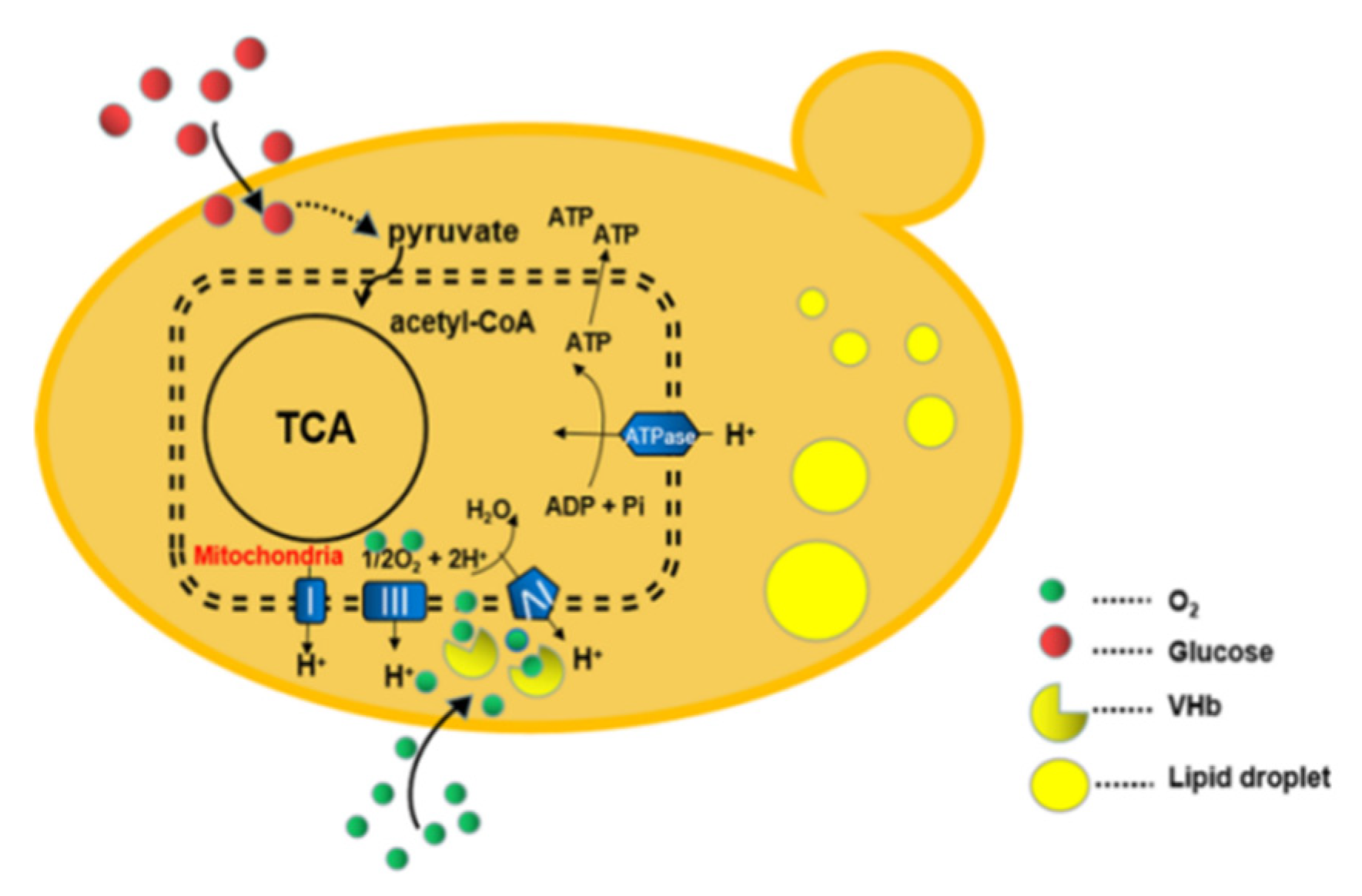 Energies 13 04446 g001
