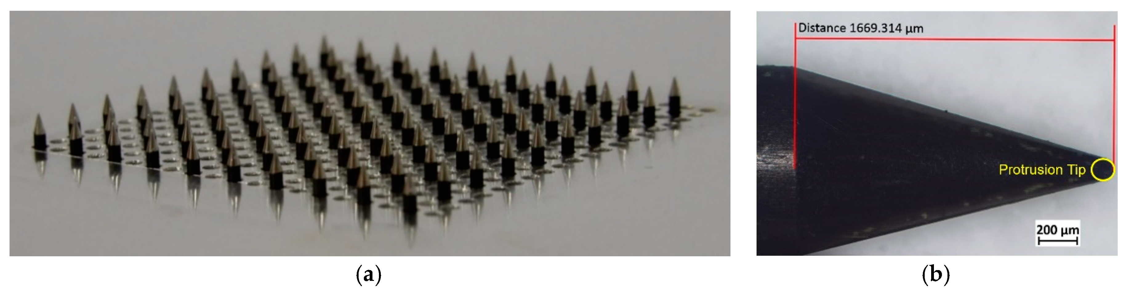 Energies 13 04449 g002