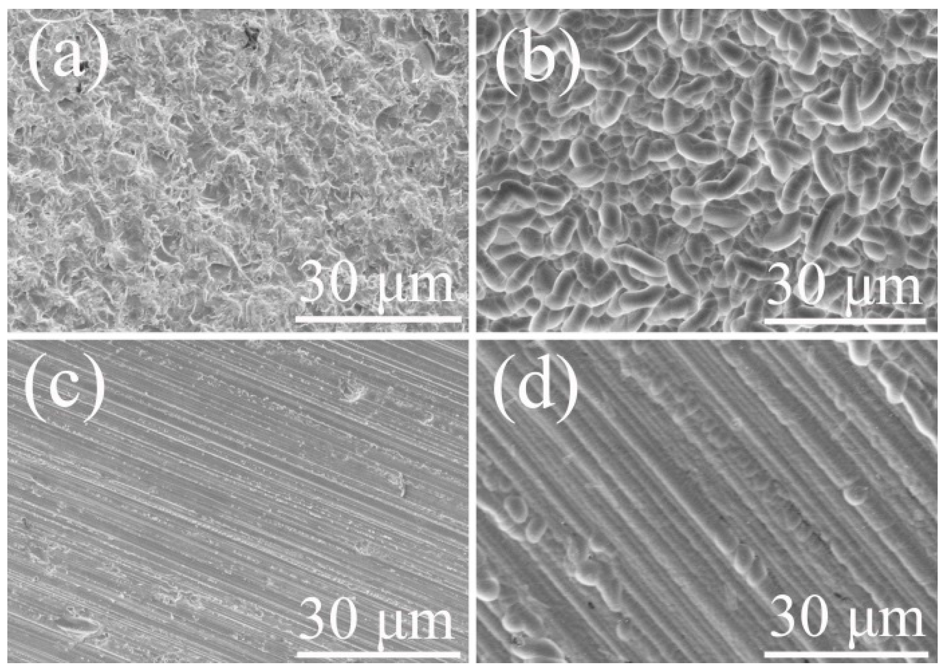 Energies 13 04890 g001 550